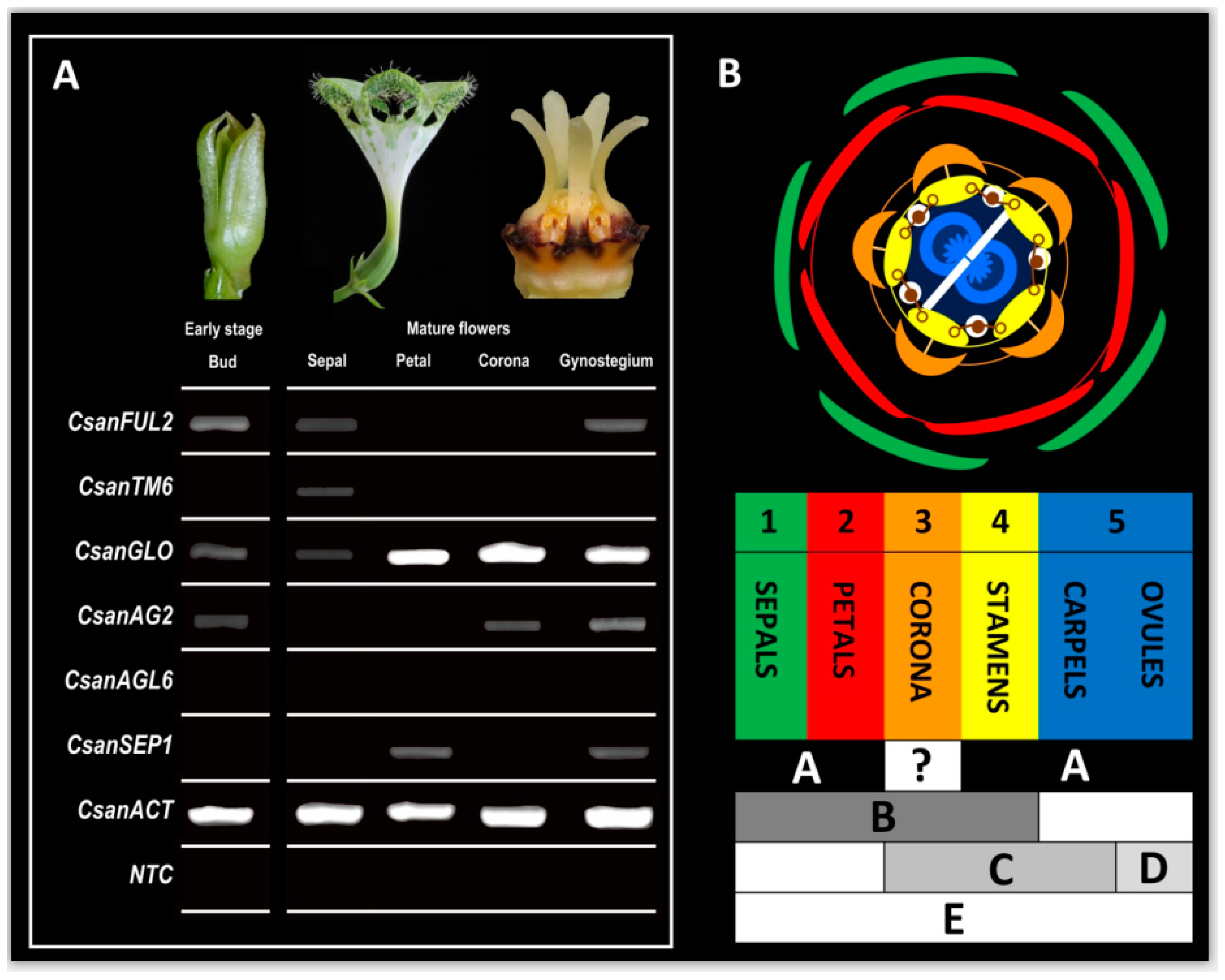 Plants 09 01767 g007