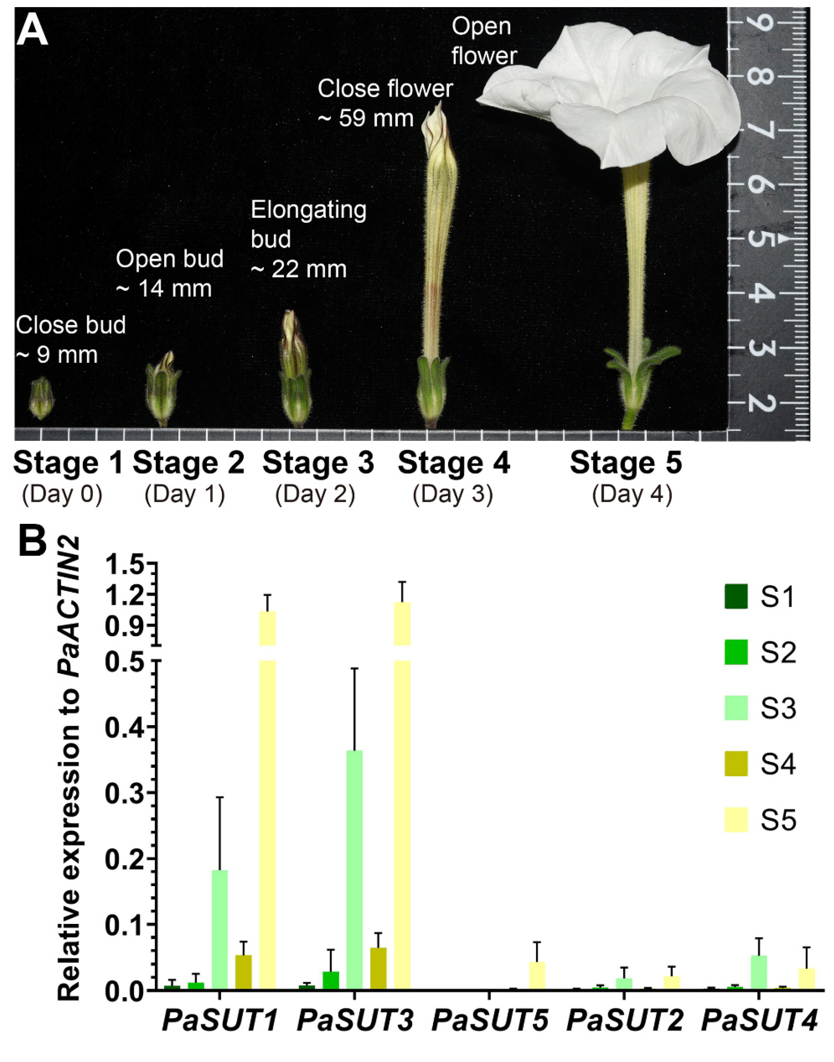 Plants 09 01770 g003