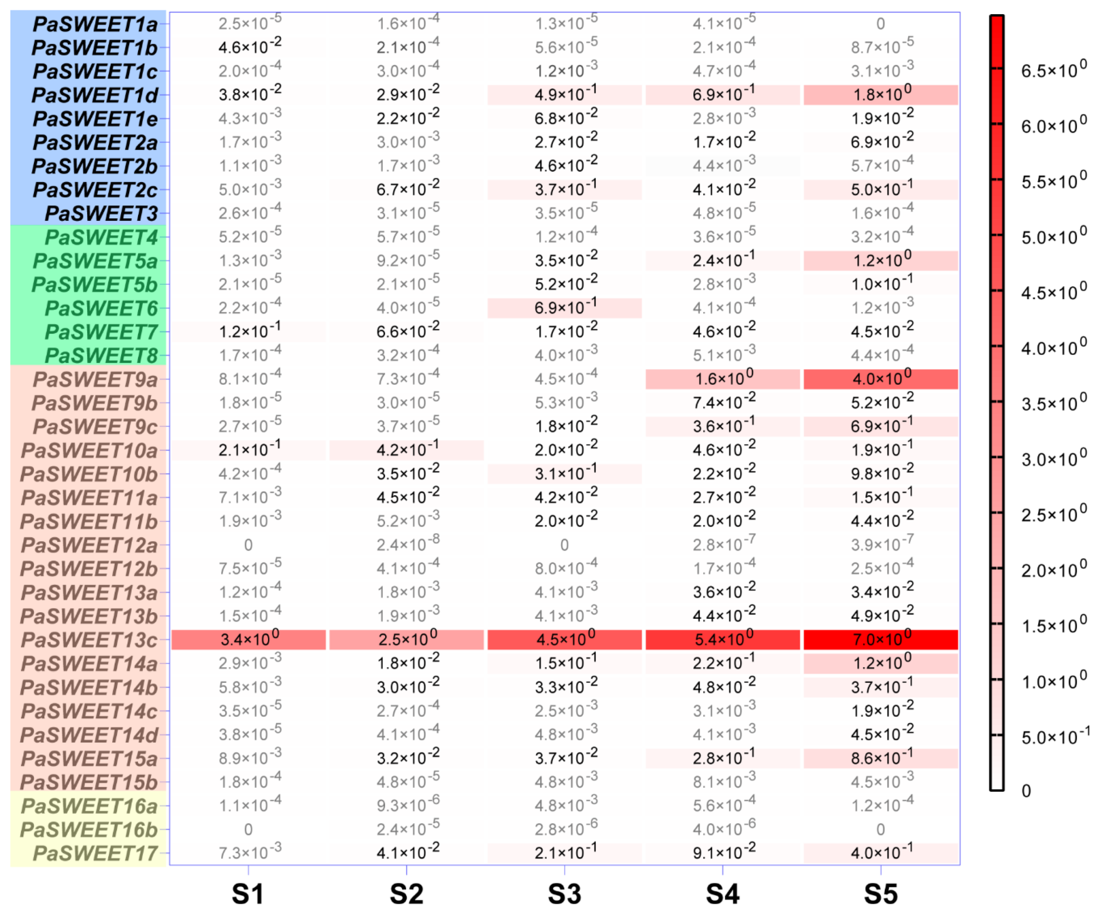 Plants 09 01770 g004