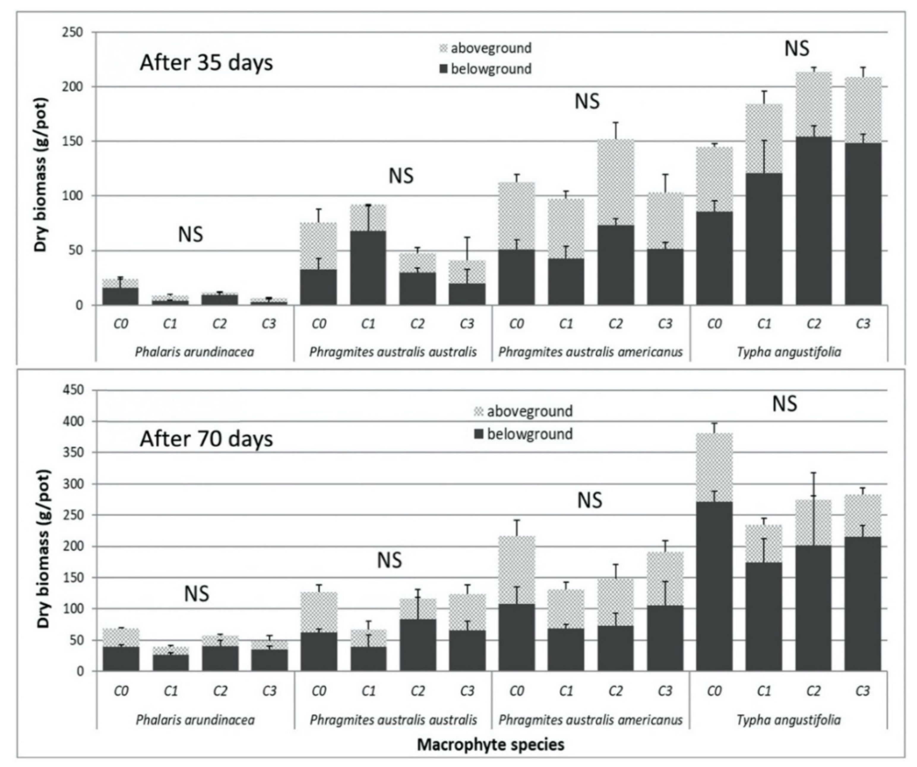 Plants 09 01774 g001
