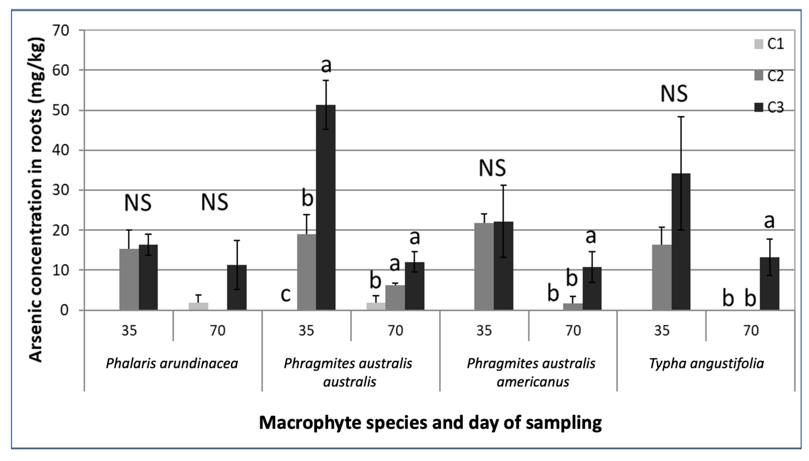 Plants 09 01774 g002
