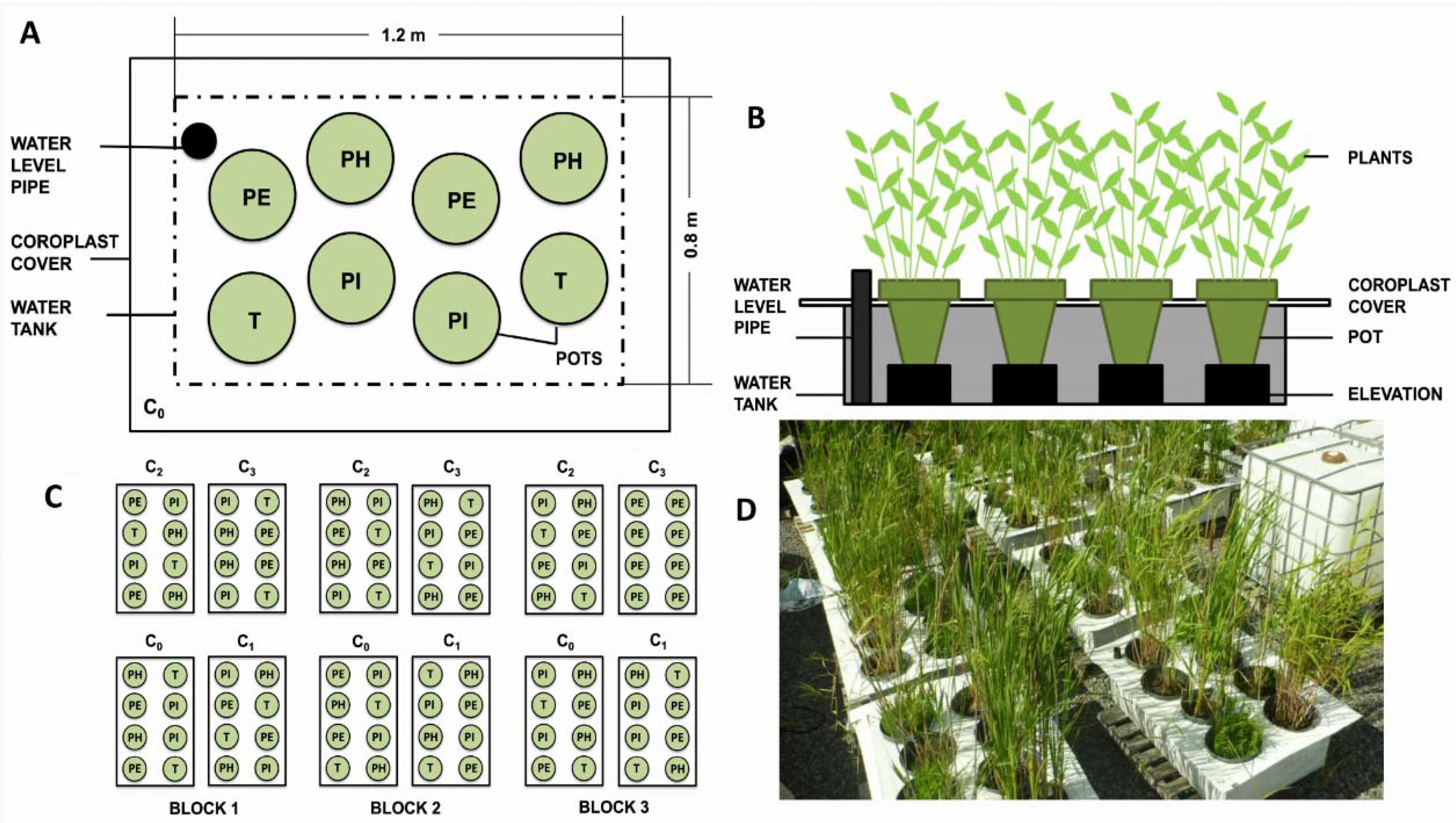 Plants 09 01774 g004