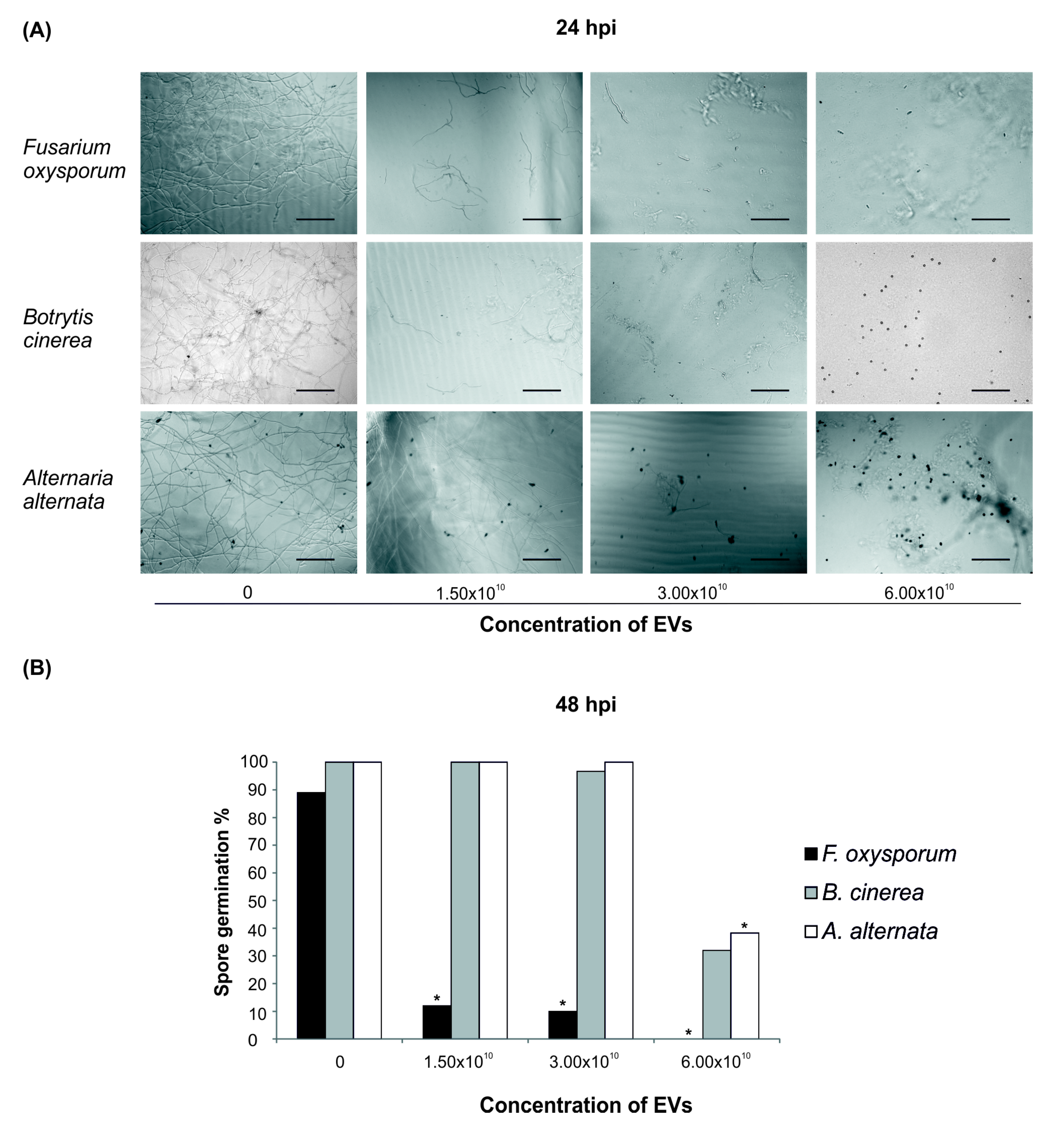 Plants 09 01777 g004 Plants 09 01777 g004