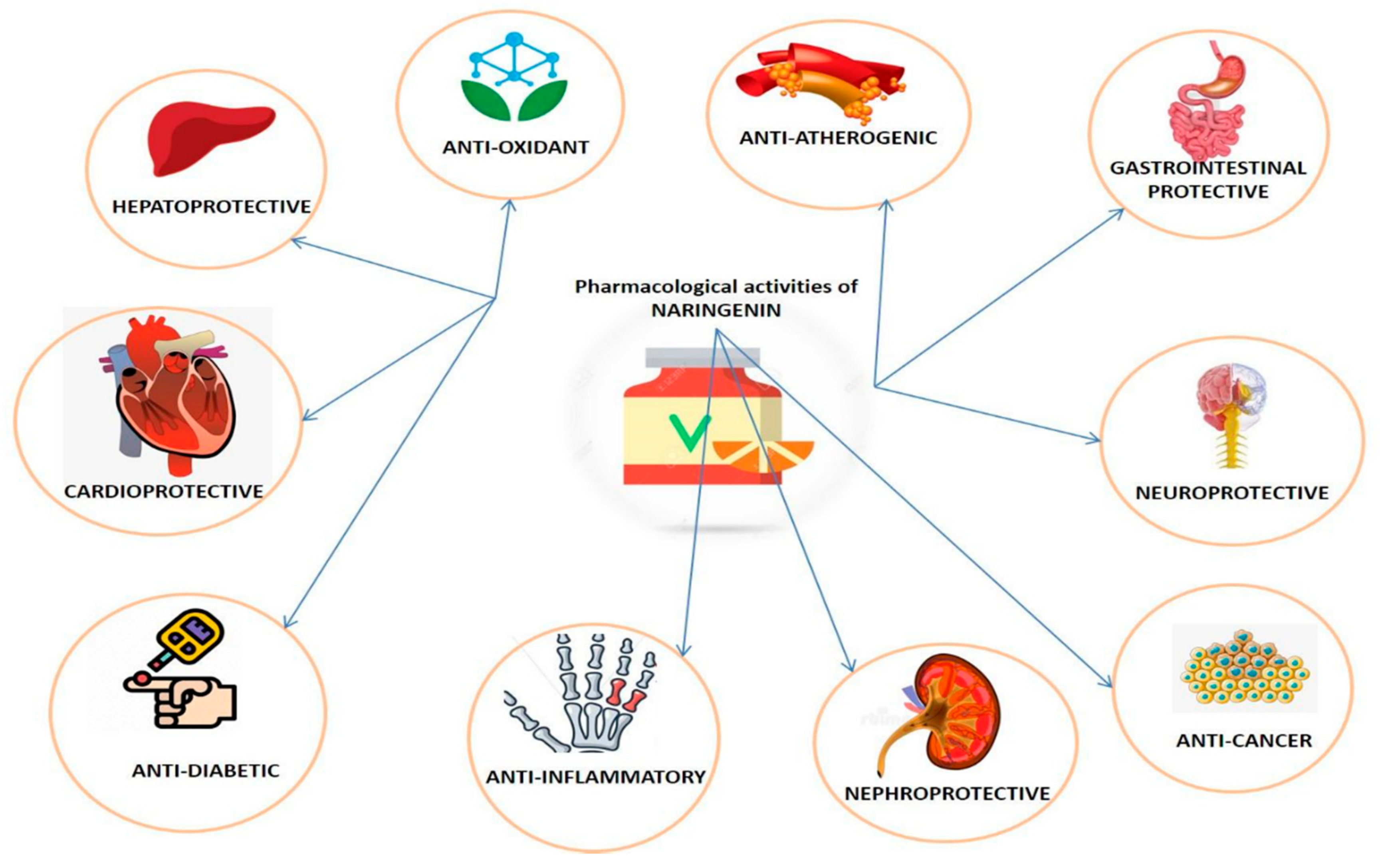 Plants 09 01784 g002 Plants 09 01784 g002