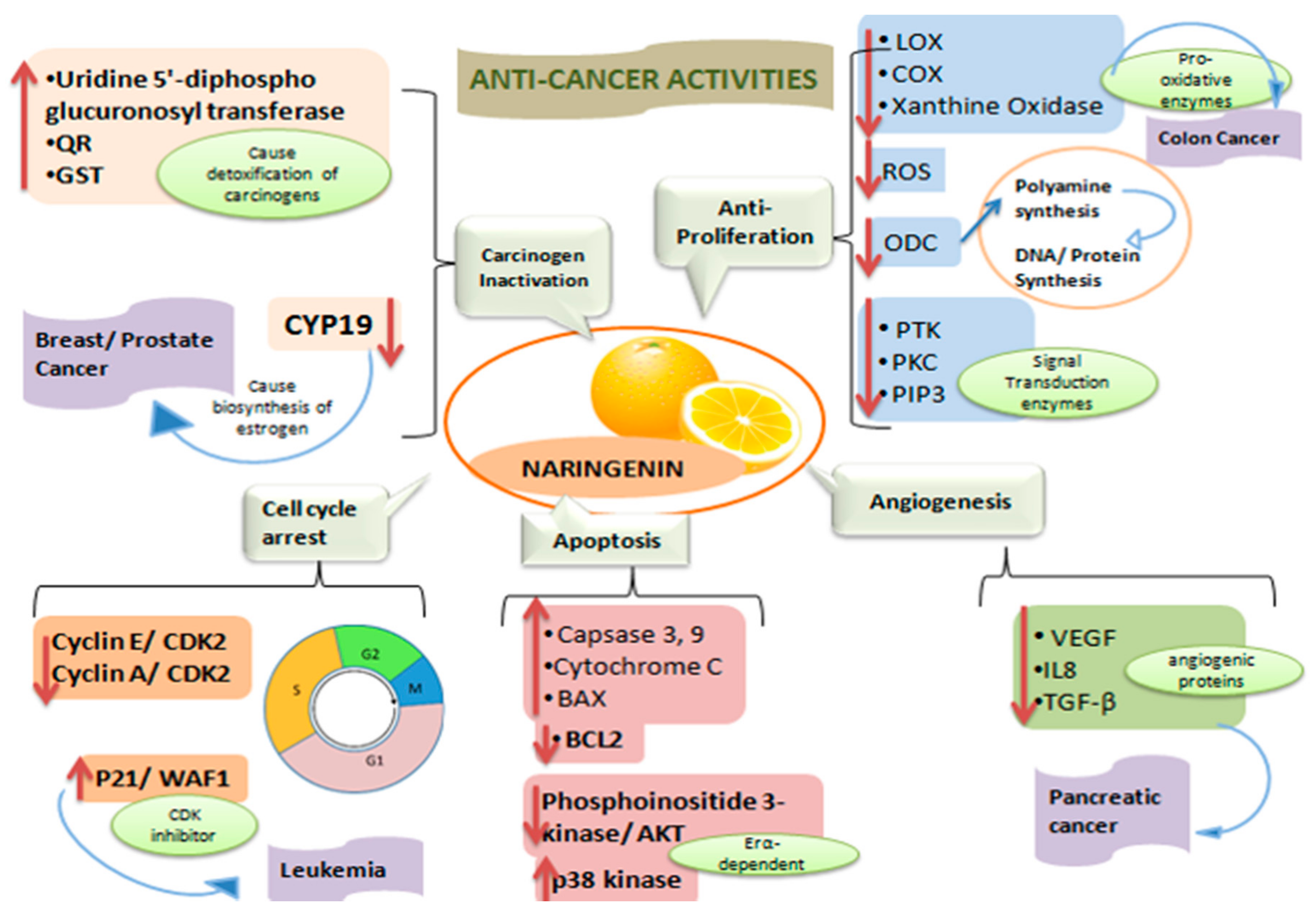 Plants 09 01784 g003 Plants 09 01784 g003