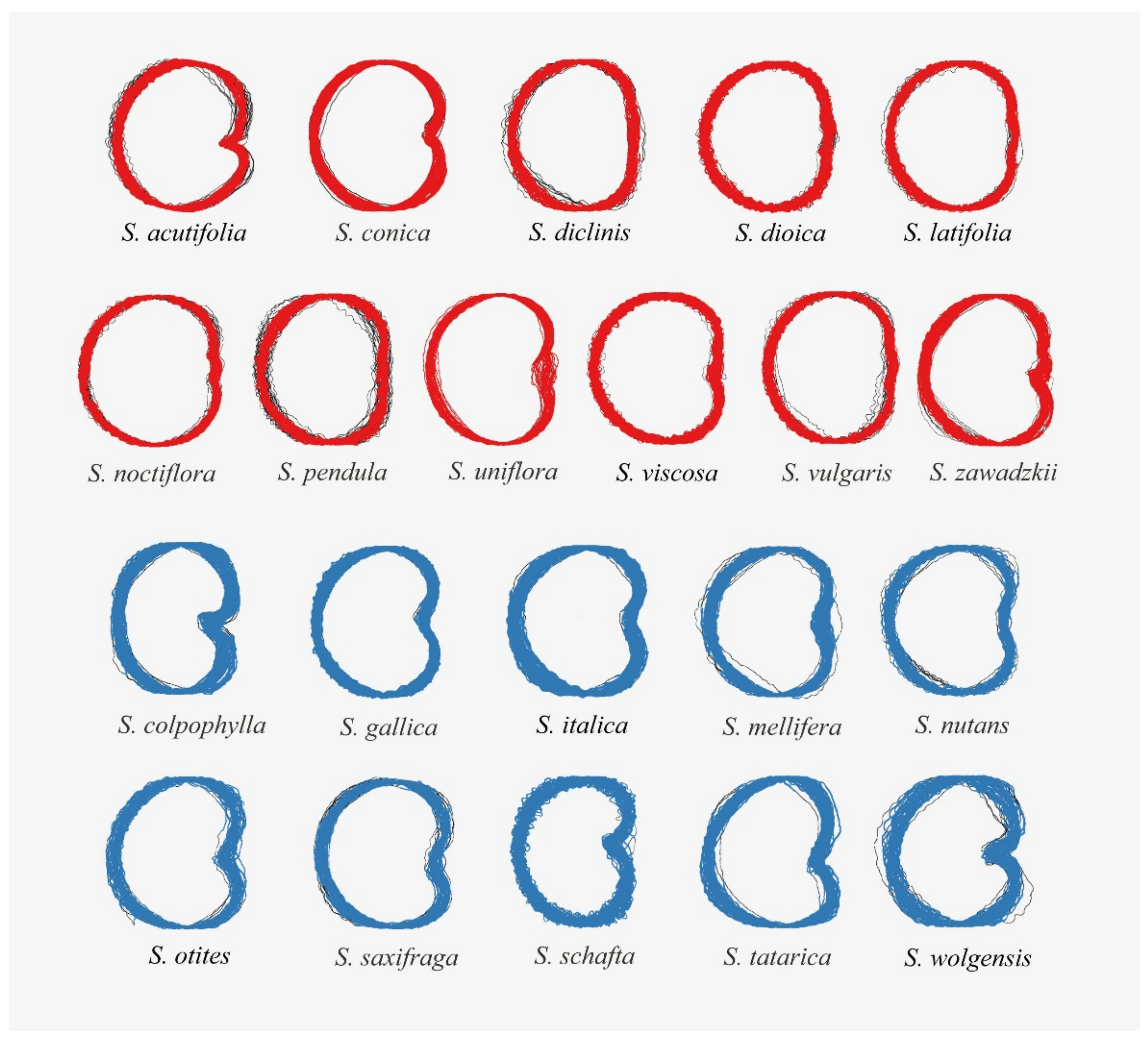 Plants 09 01787 g005