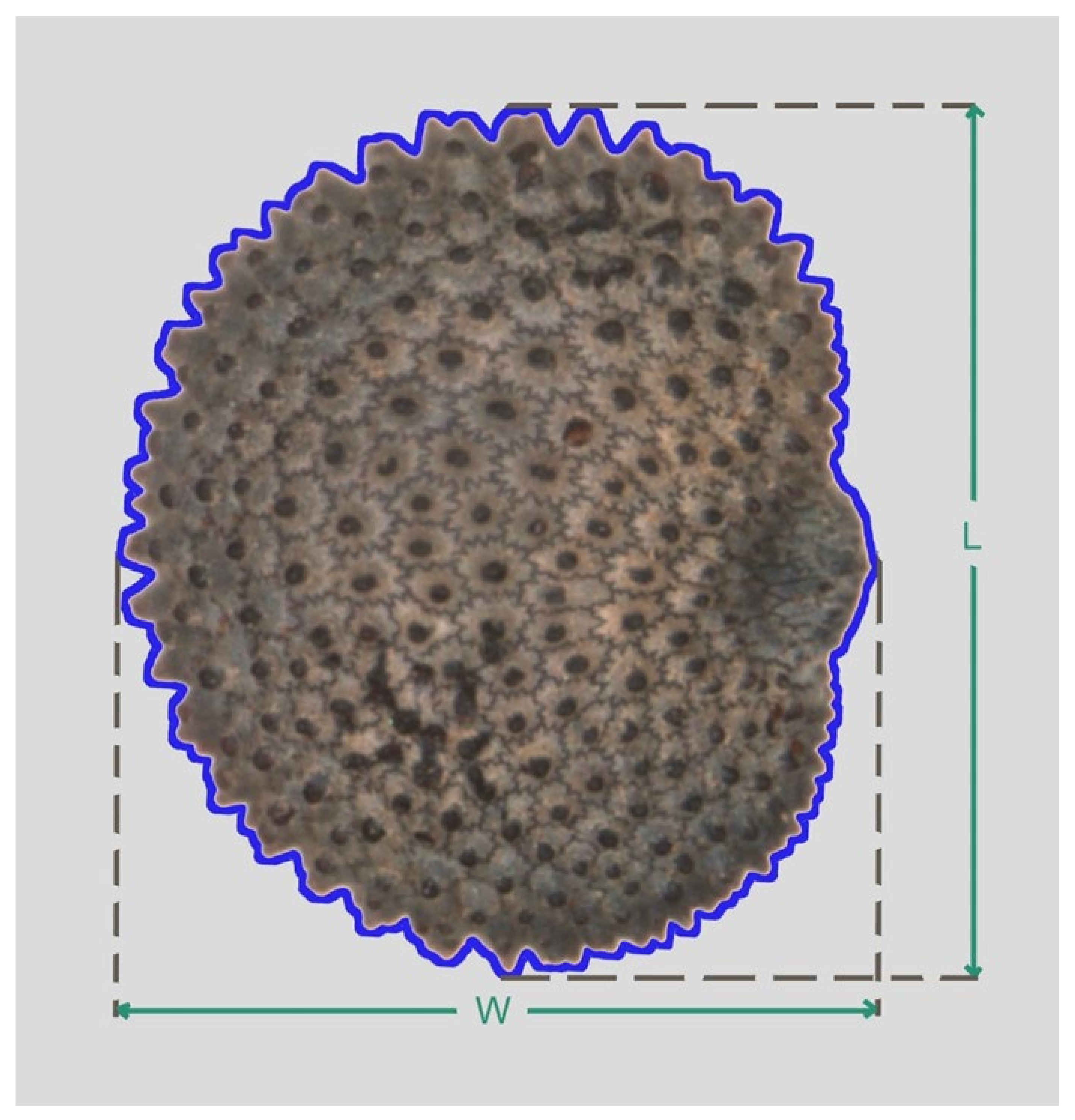 Plants 09 01787 g011