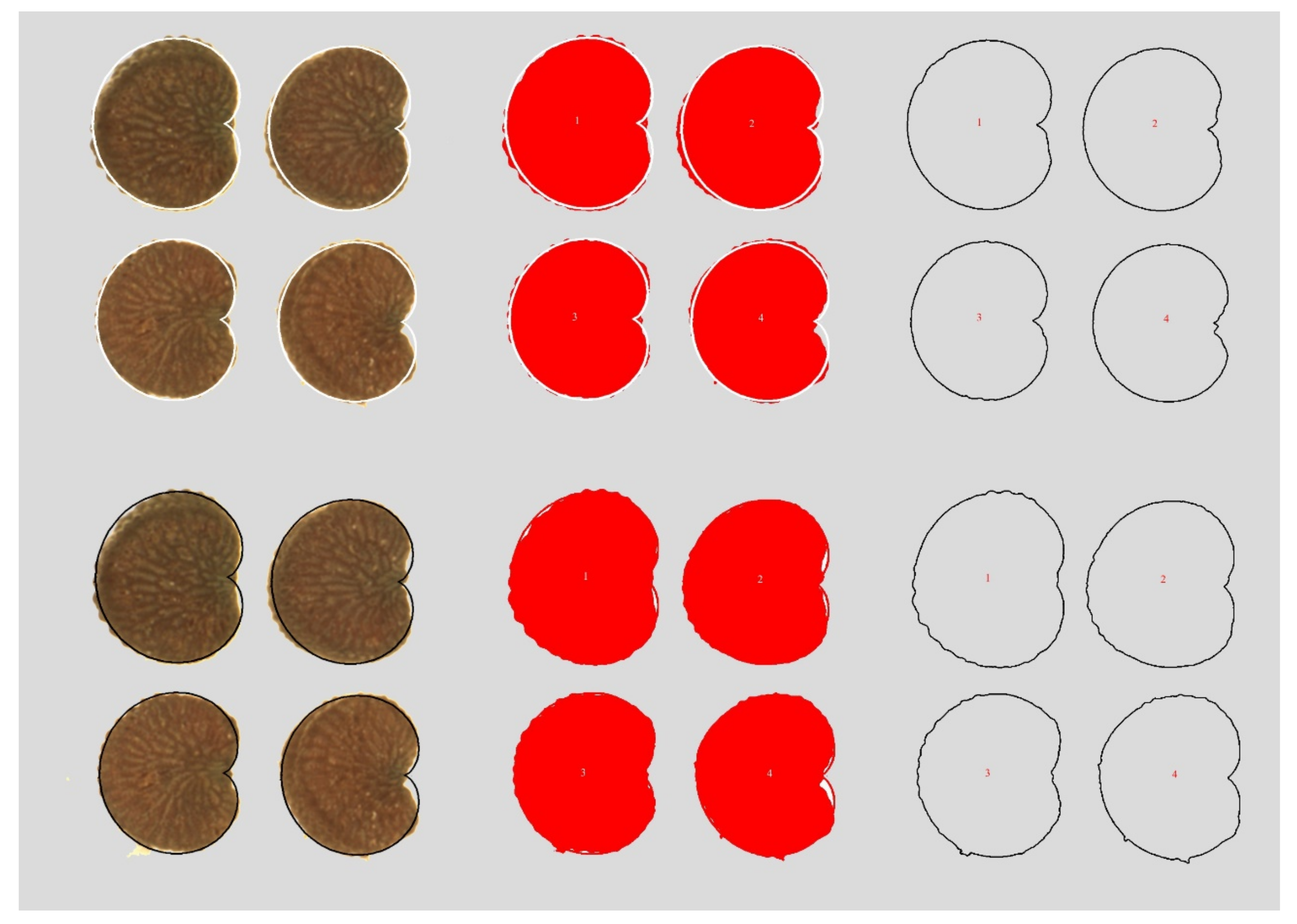 Plants 09 01787 g013