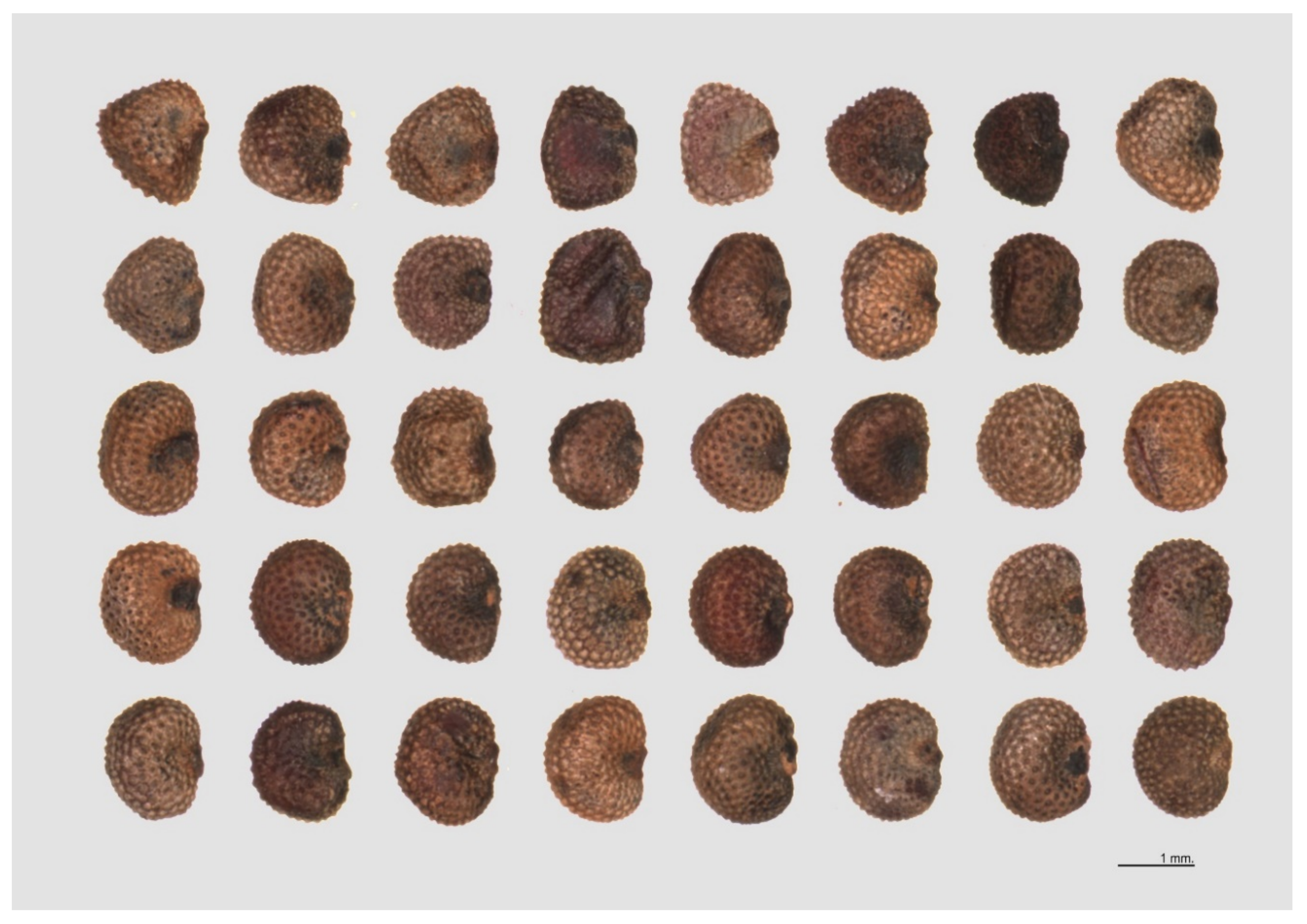 Plants 09 01787 g0a3