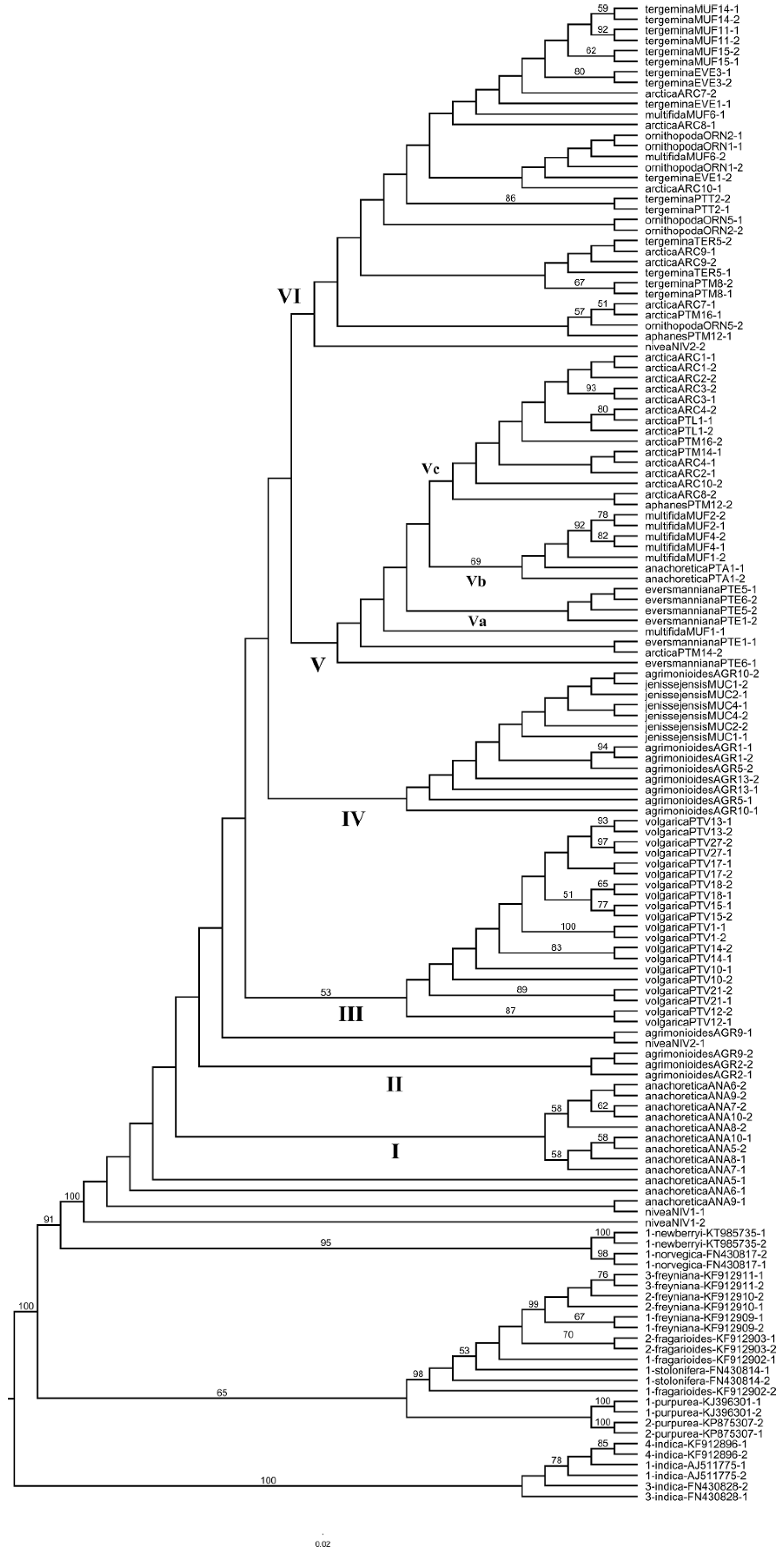 Plants 09 01798 g004 Plants 09 01798 g004