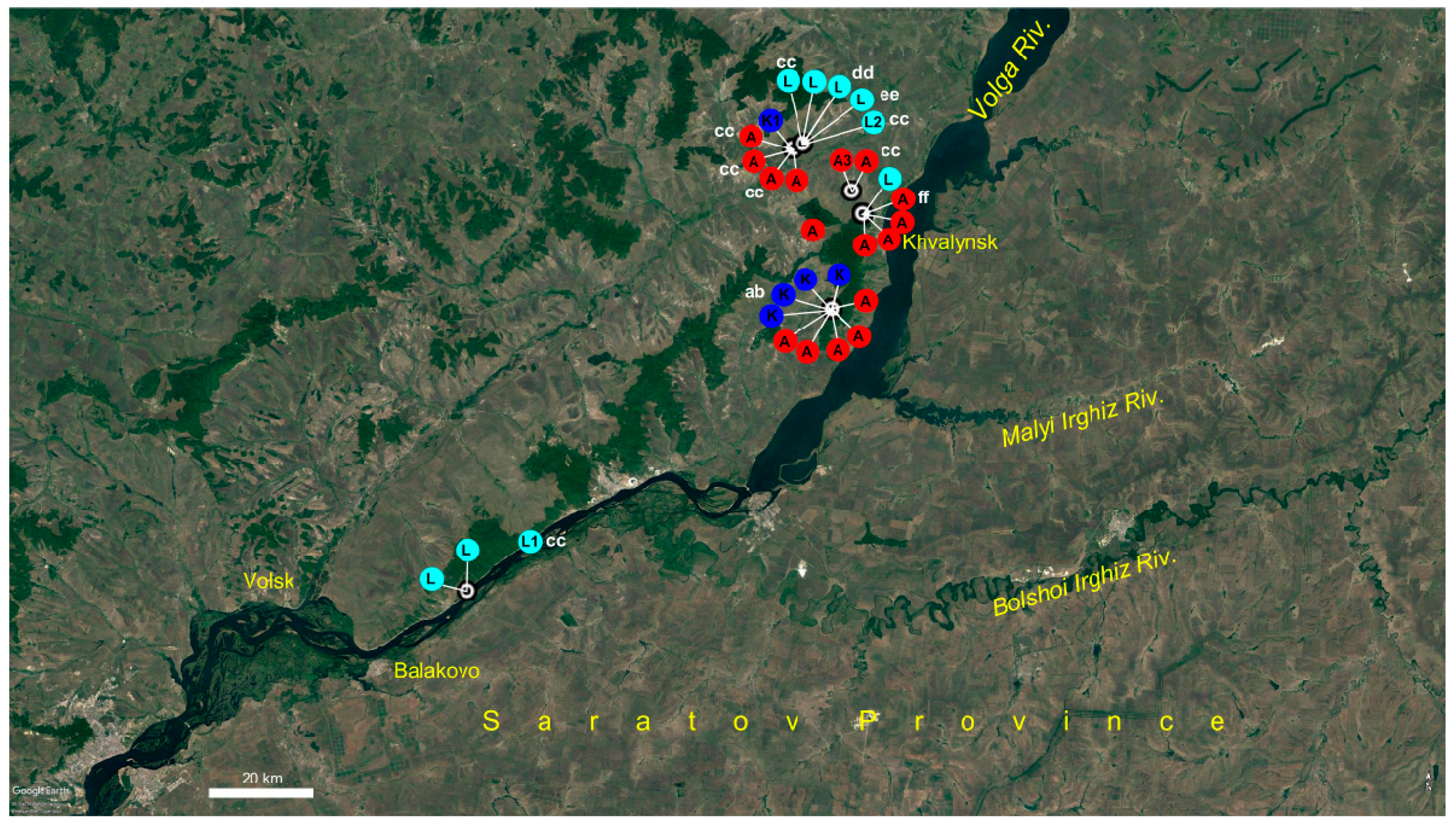 Plants 09 01798 g005 Plants 09 01798 g005