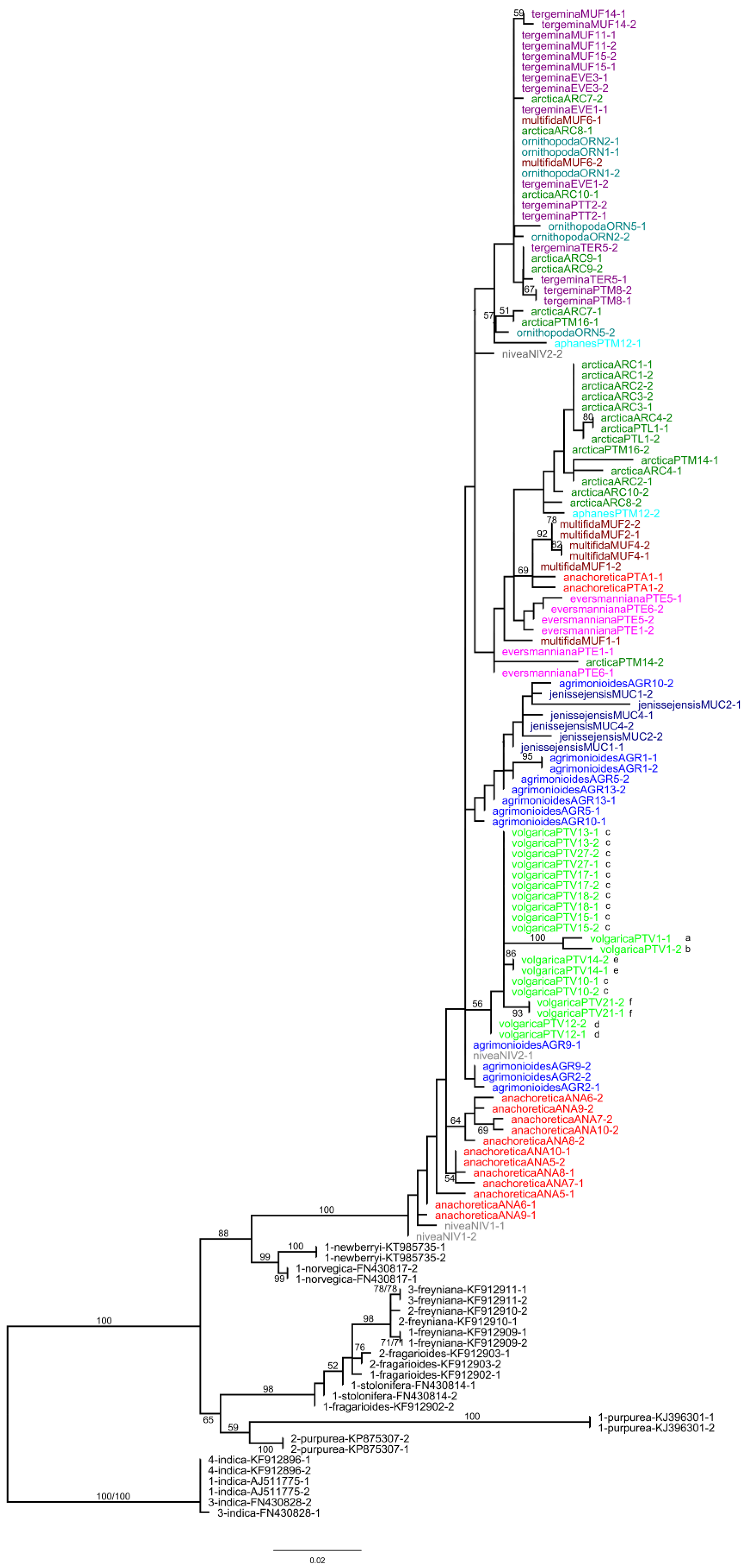 Plants 09 01798 g0a1 Plants 09 01798 g0a1