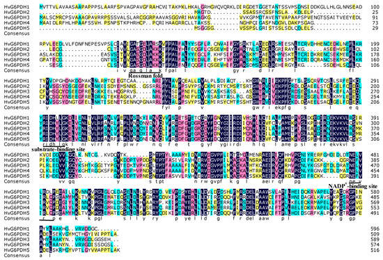 Identification, Characterization, and Stress Responsiveness