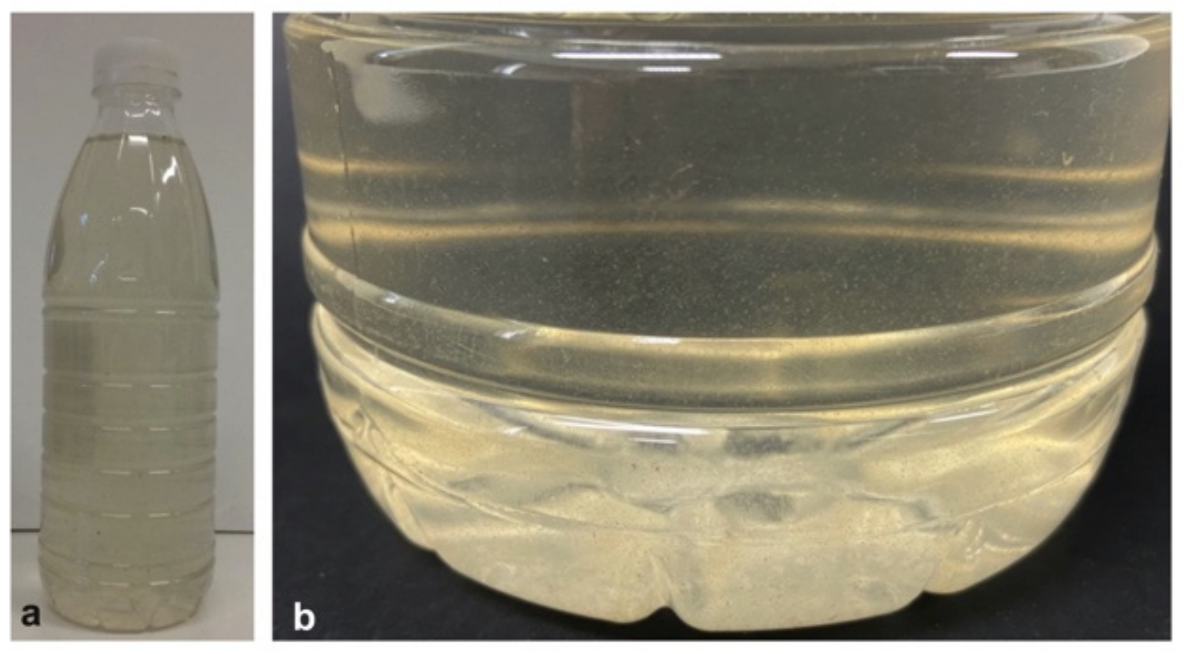 Plants 09 01802 g008