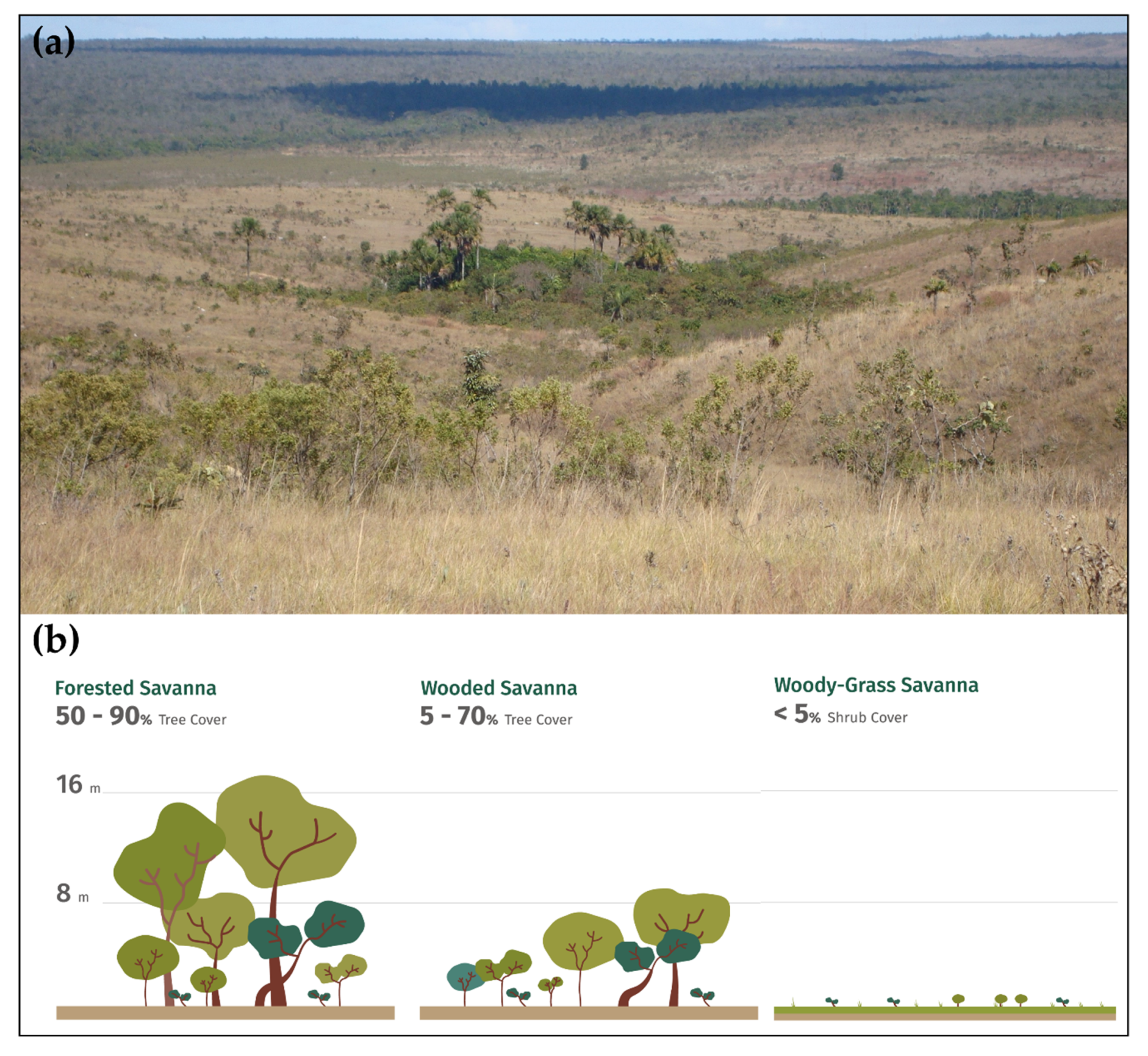 Plants 09 01803 g002