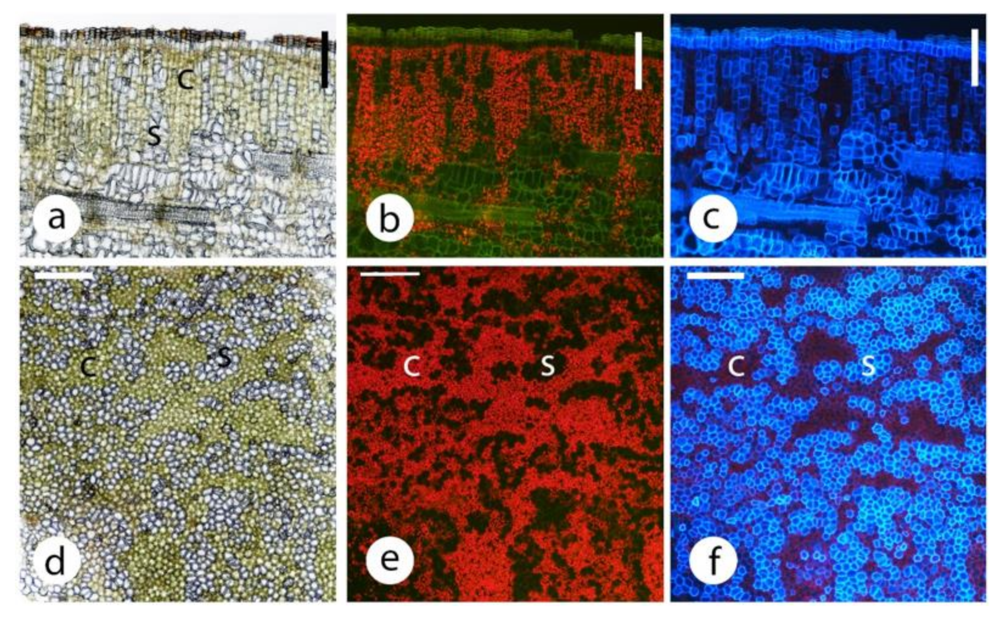 Plants 09 01814 g005