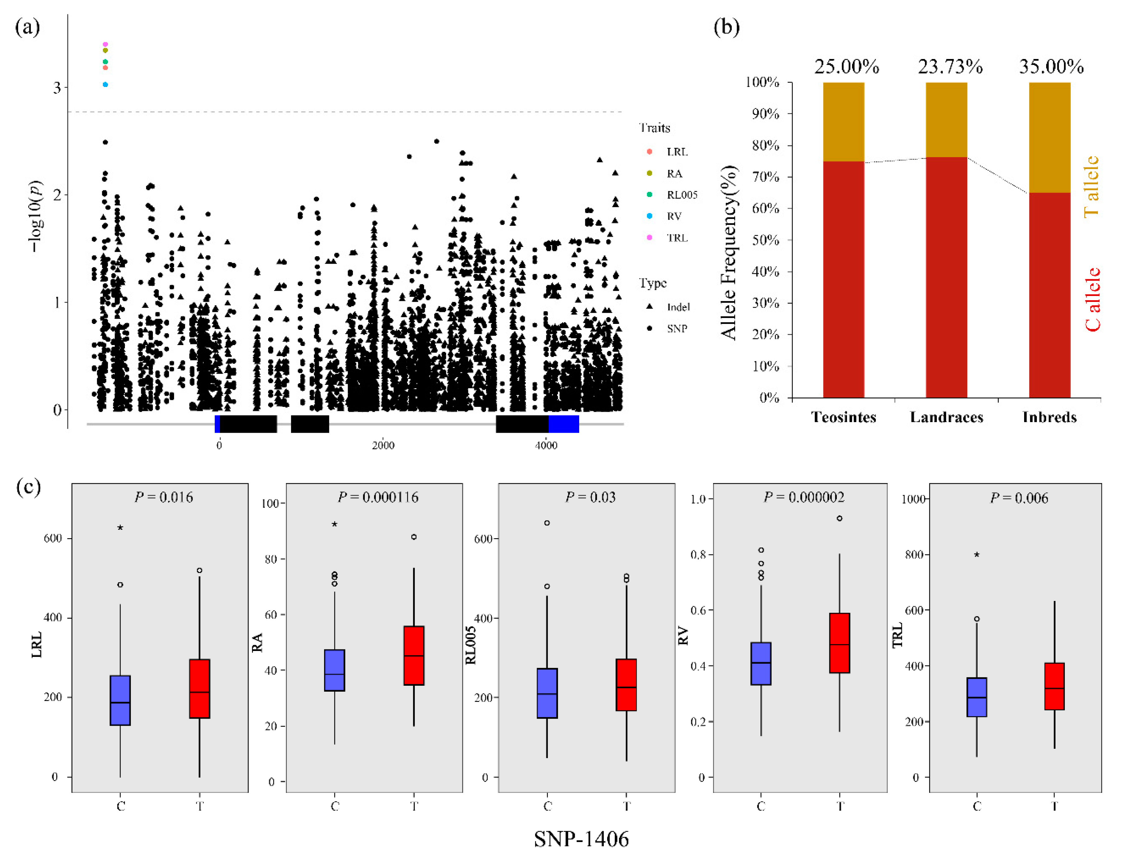 Plants 10 00001 g004