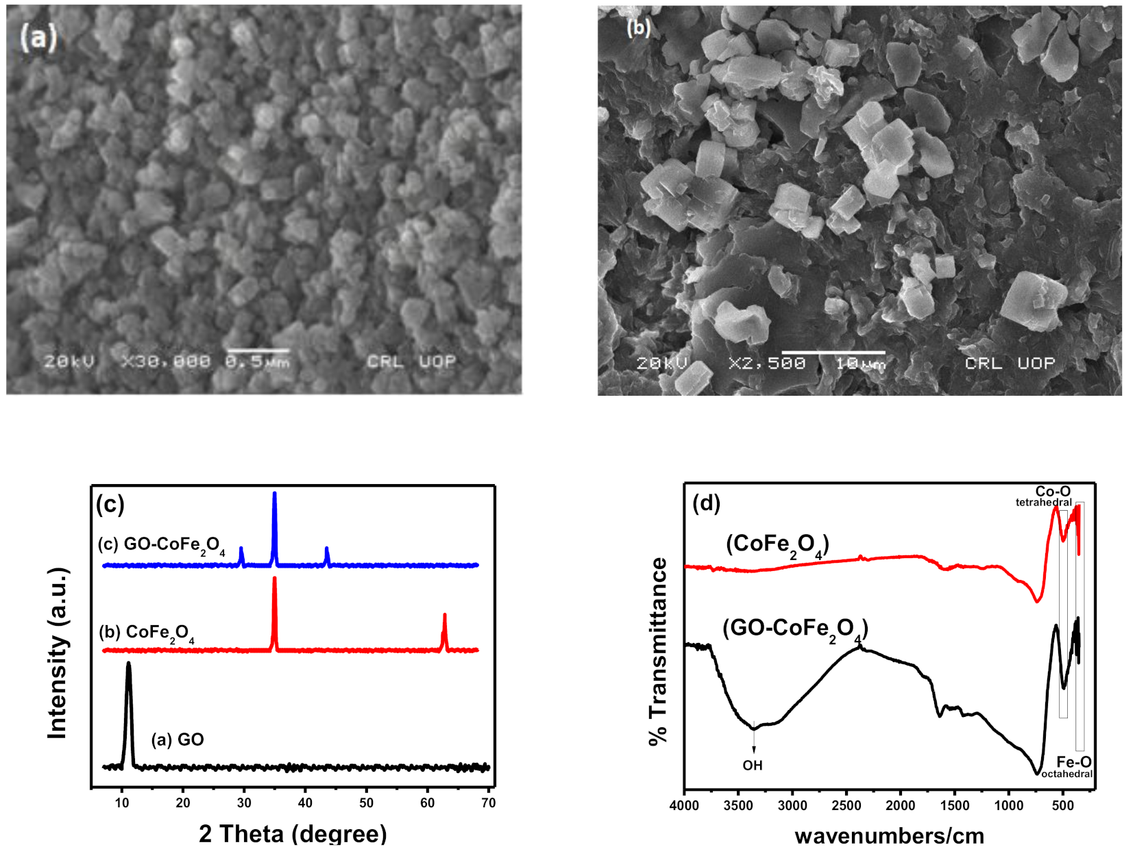 Plants 10 00006 g001 Plants 10 00006 g001