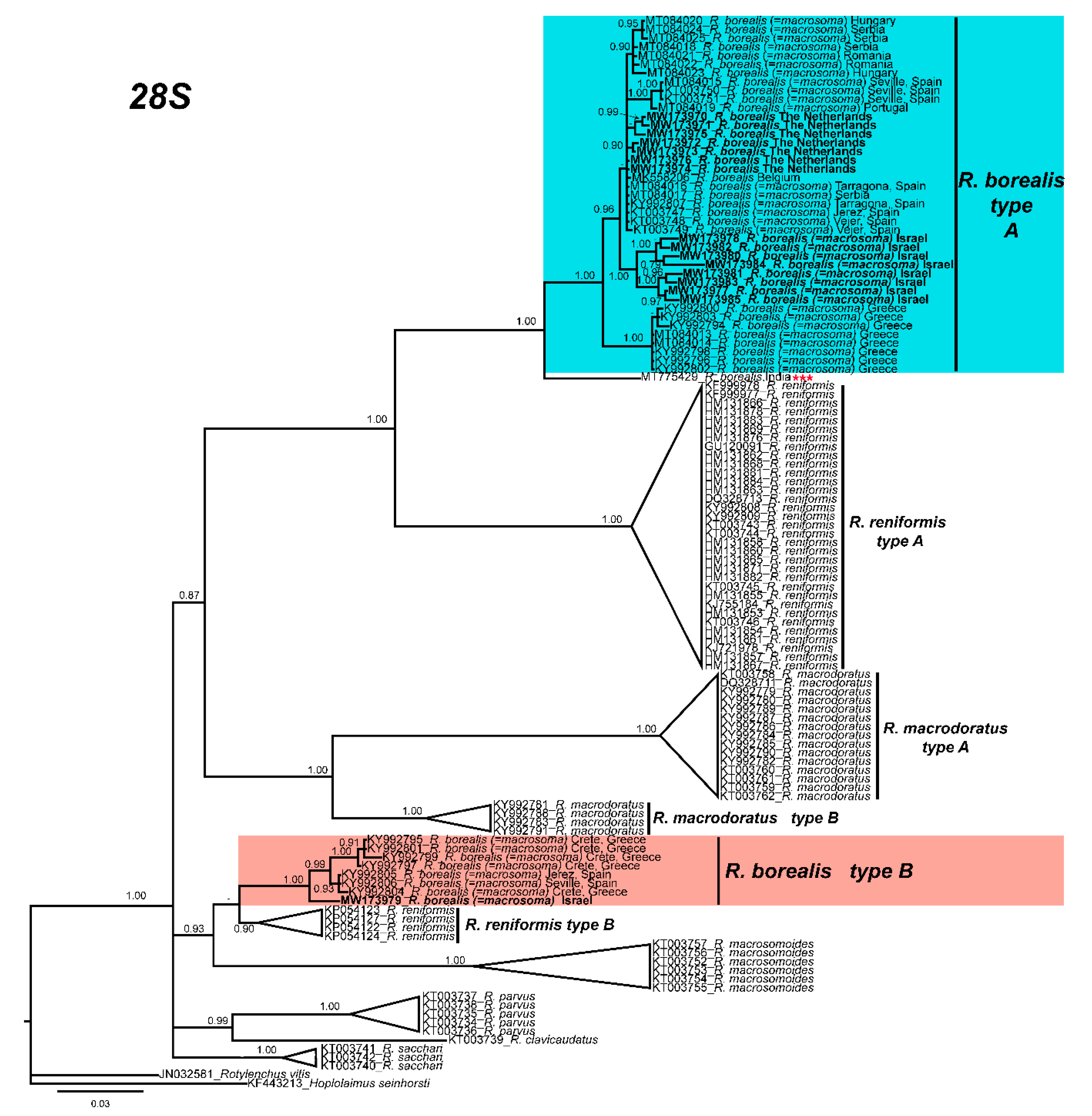 Plants 10 00007 g003 Plants 10 00007 g003