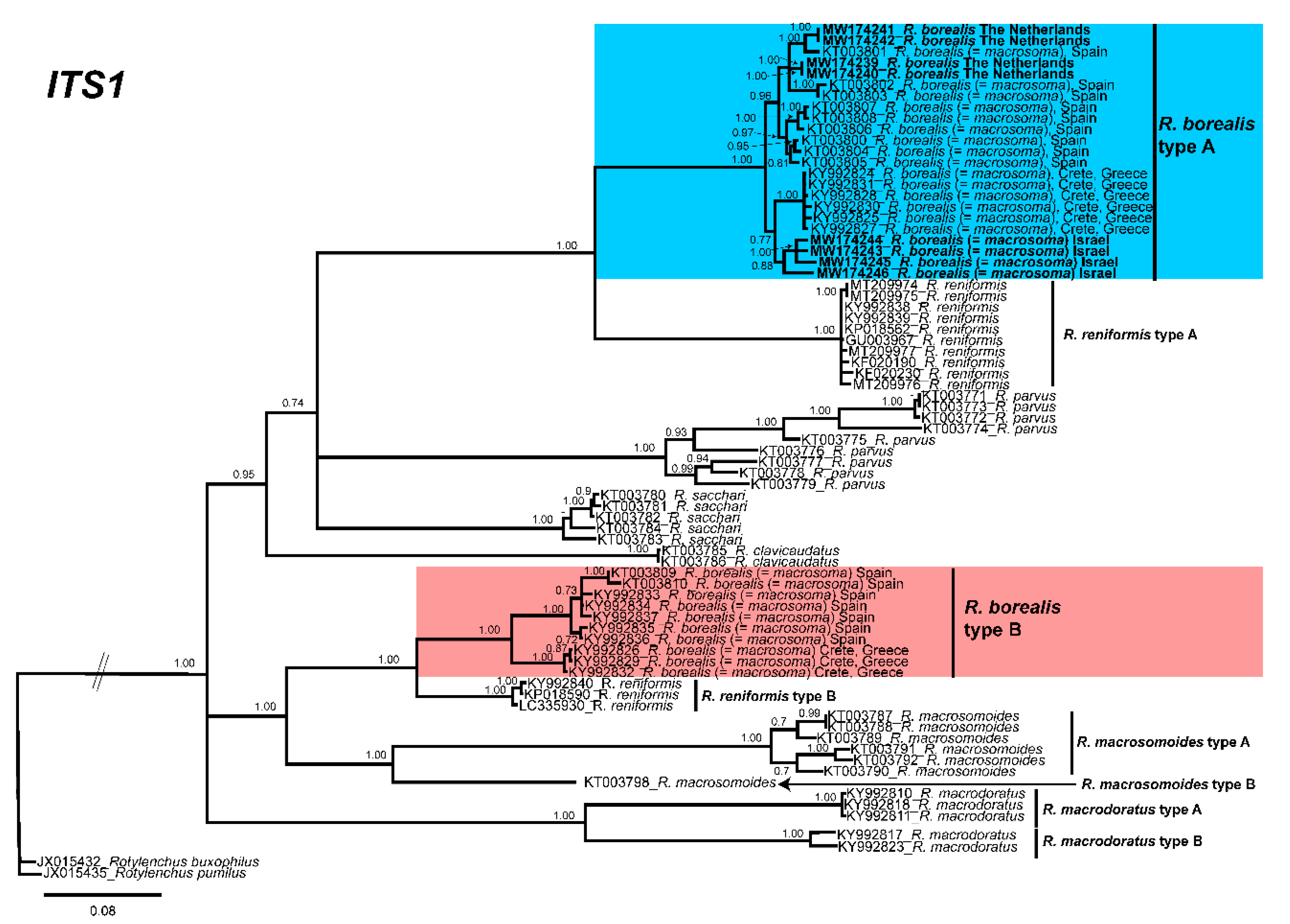 Plants 10 00007 g004 Plants 10 00007 g004