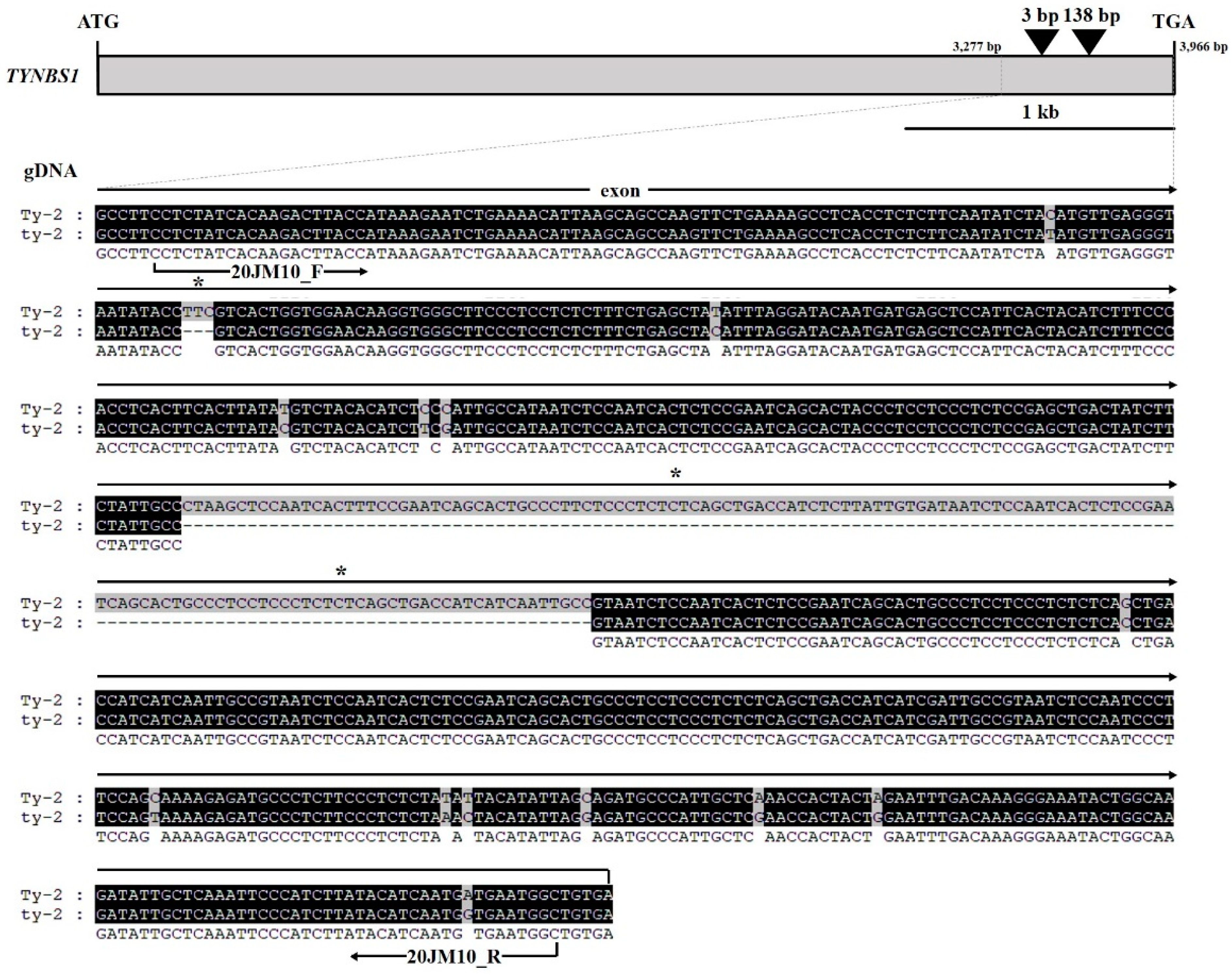 Plants 10 00009 g002 Plants 10 00009 g002