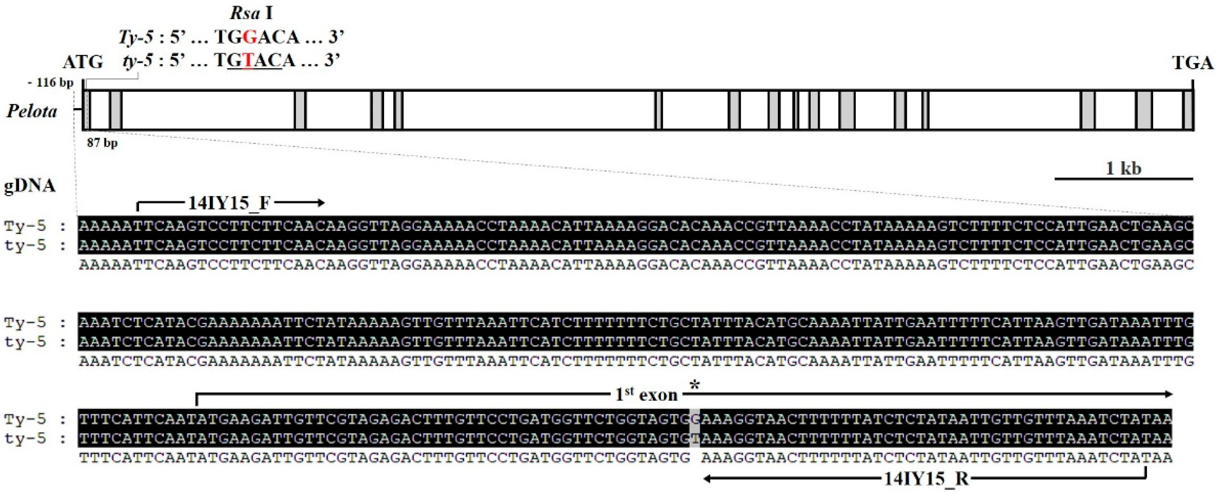 Plants 10 00009 g004 Plants 10 00009 g004