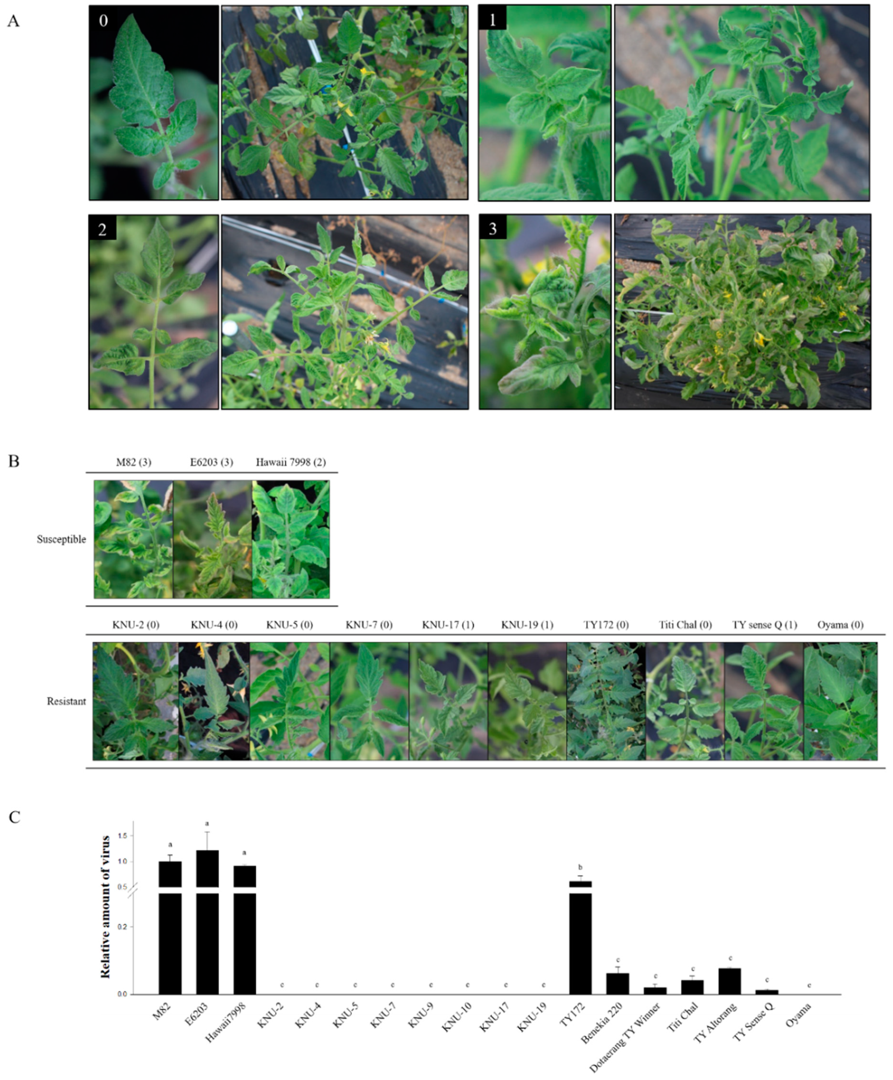 Plants 10 00009 g006 Plants 10 00009 g006