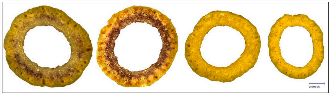 Plants 10 00010 g005 Plants 10 00010 g005