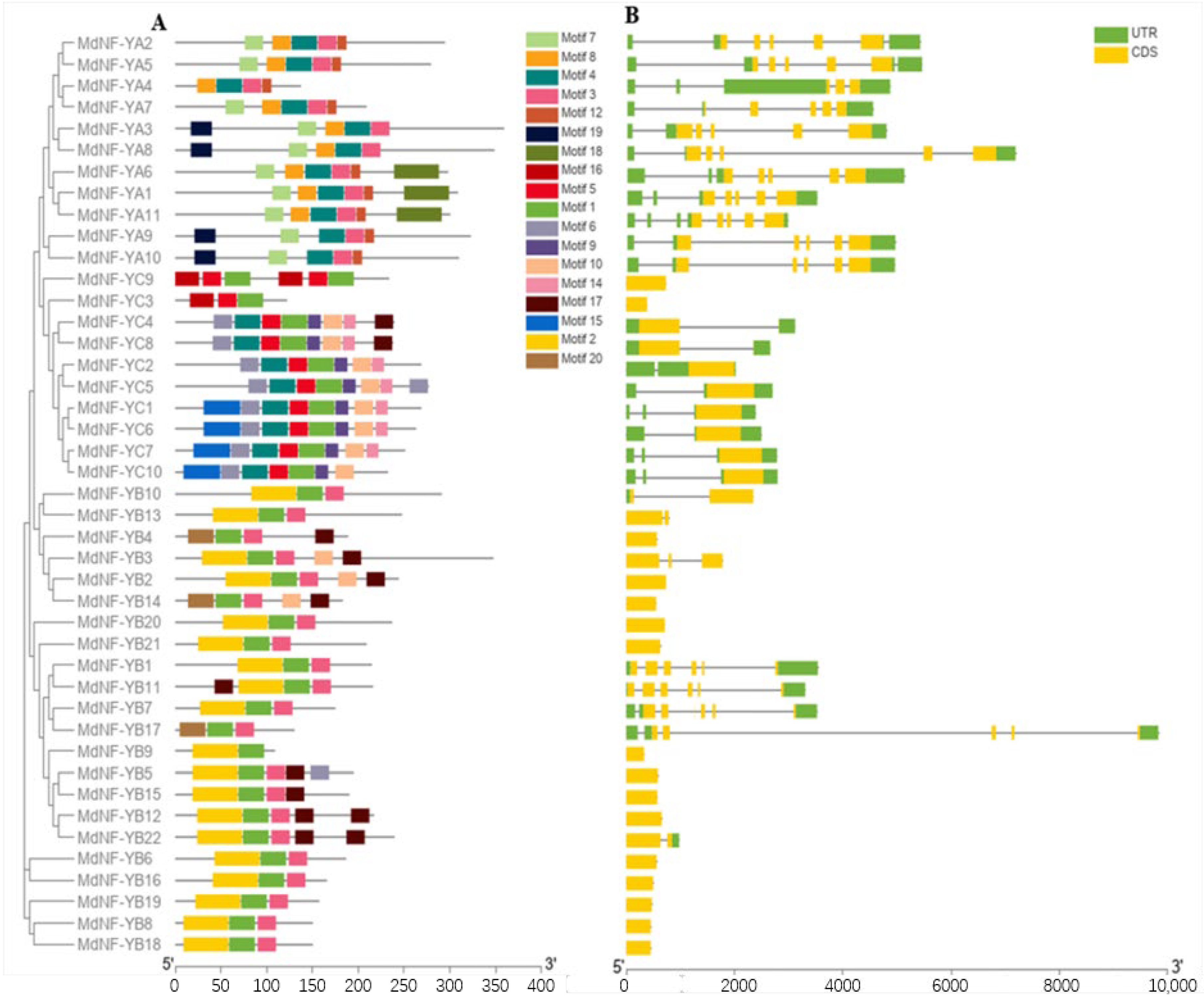 Plants 10 00016 g002 Plants 10 00016 g002