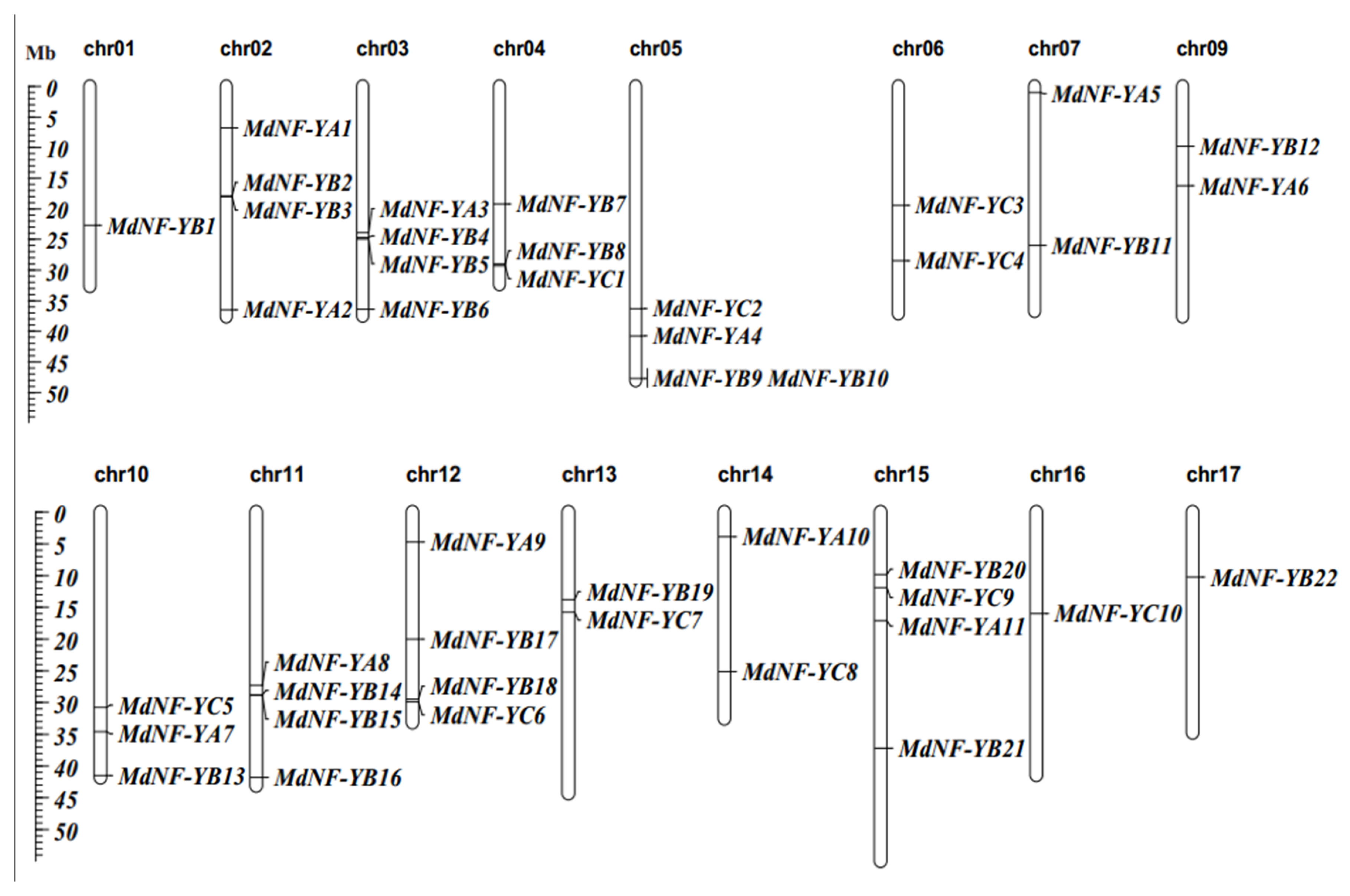 Plants 10 00016 g003 Plants 10 00016 g003