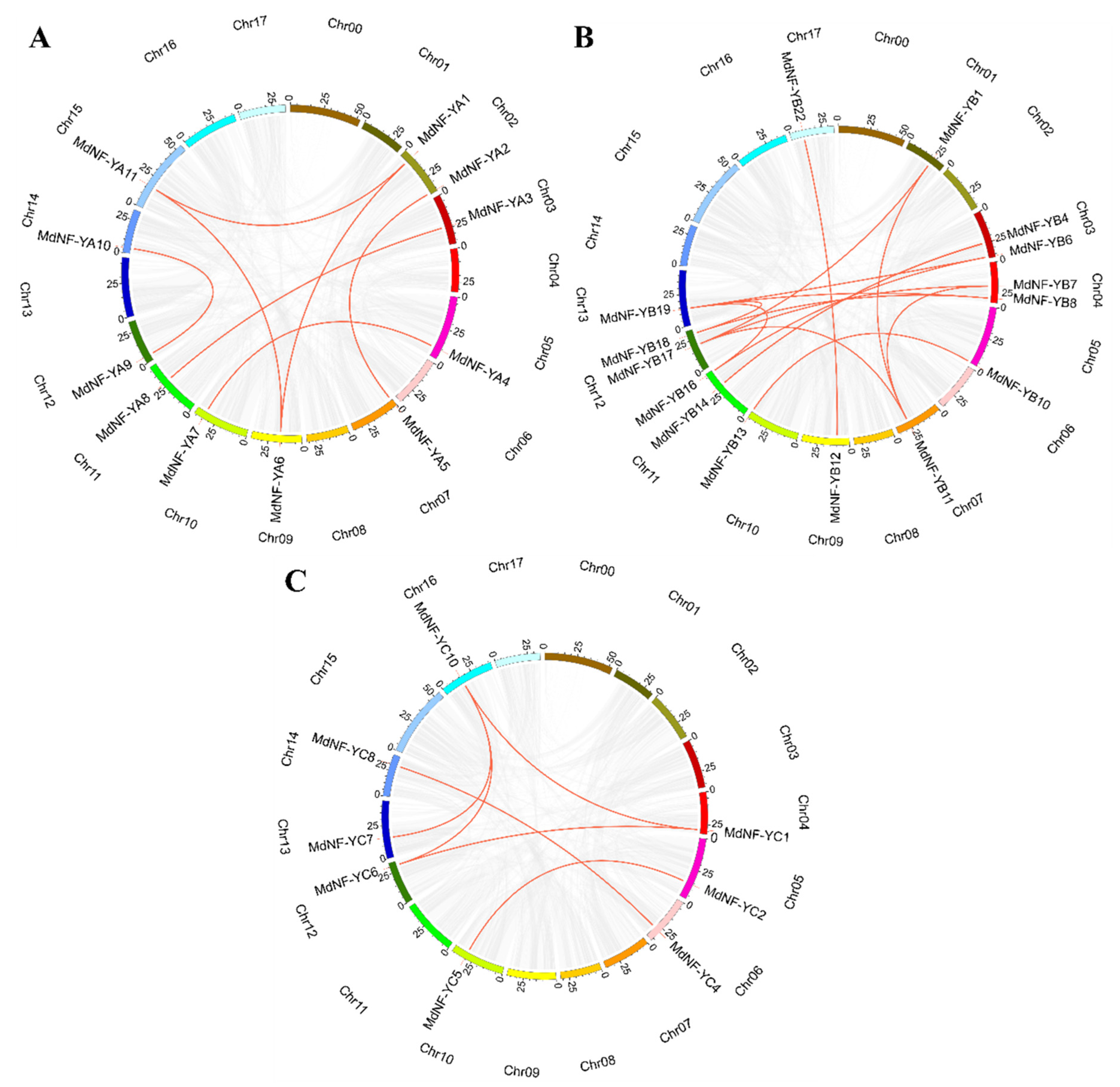 Plants 10 00016 g004 Plants 10 00016 g004