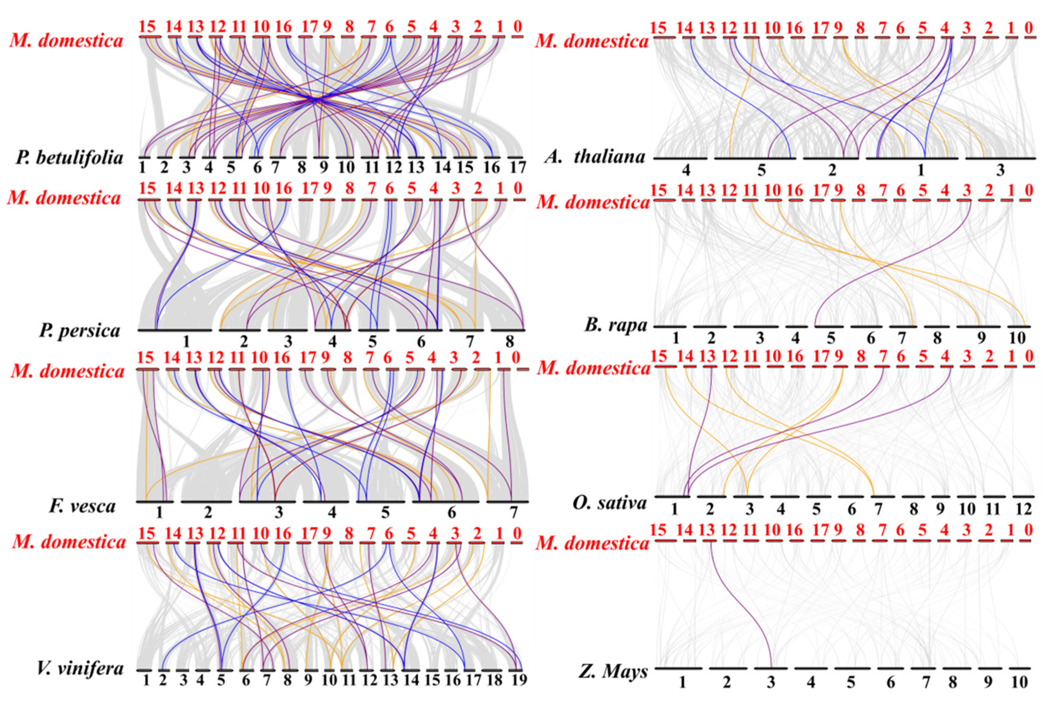 Plants 10 00016 g005 Plants 10 00016 g005