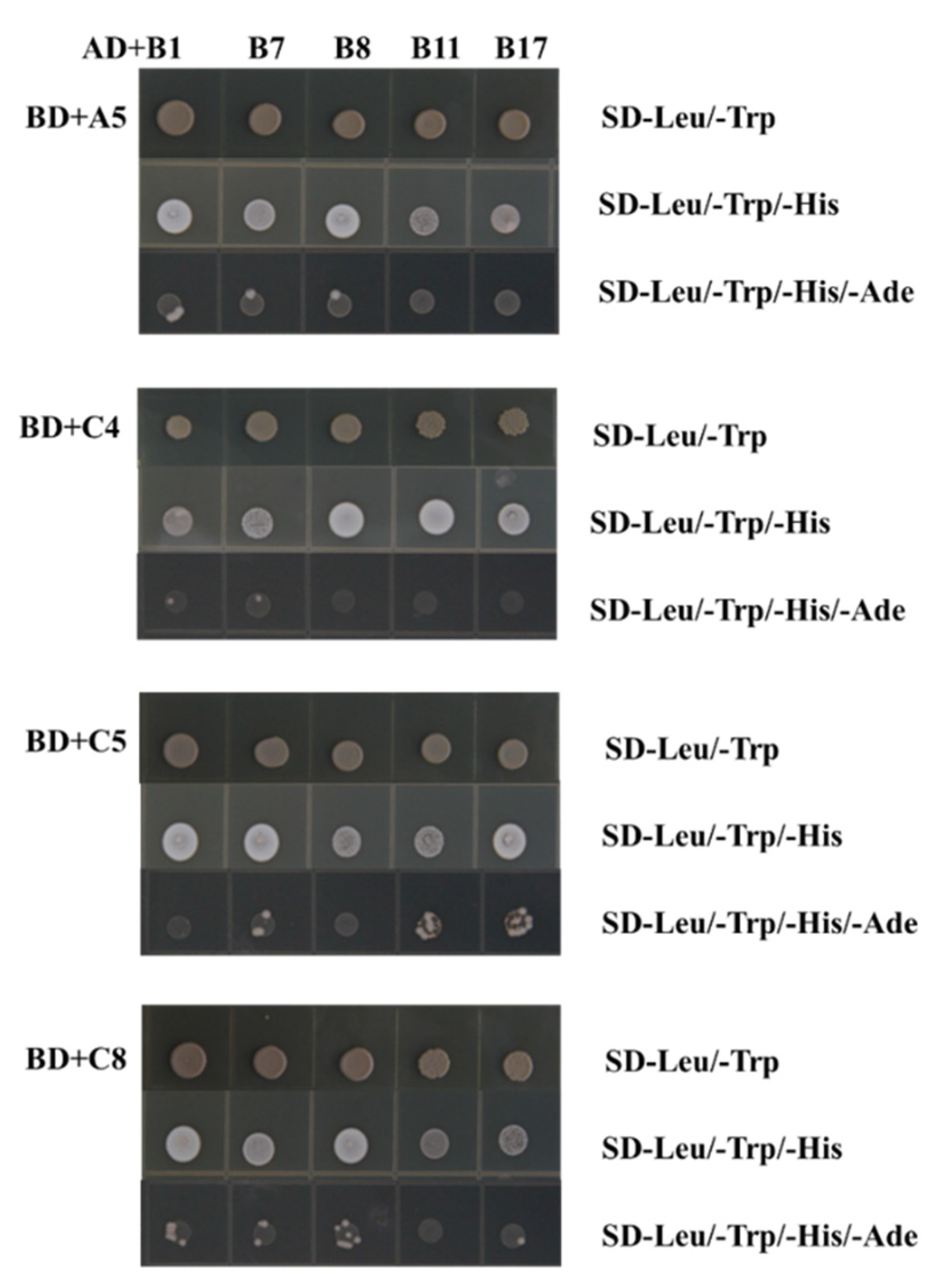 Plants 10 00016 g007 Plants 10 00016 g007