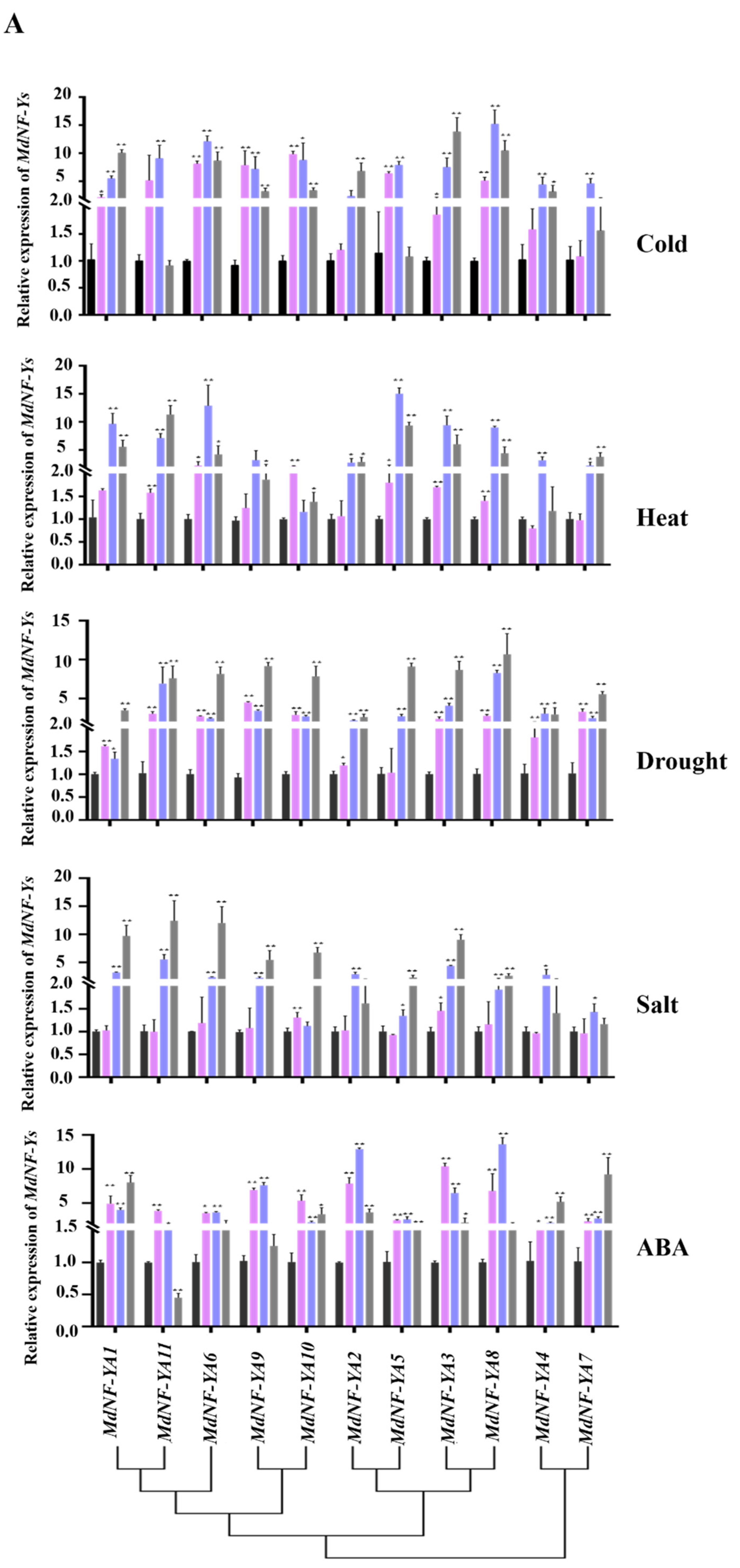 Plants 10 00016 g009a Plants 10 00016 g009a