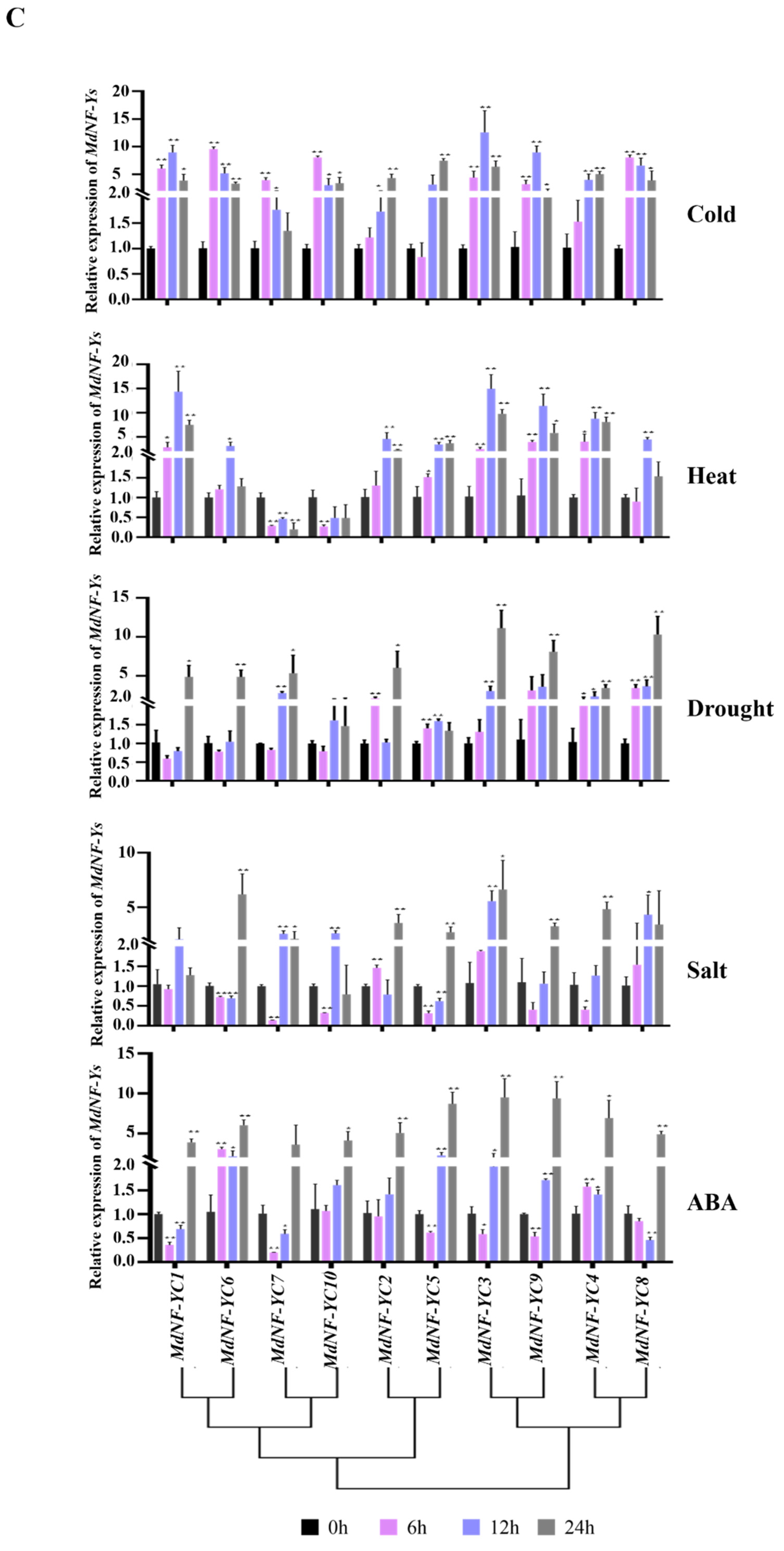 Plants 10 00016 g009c Plants 10 00016 g009c