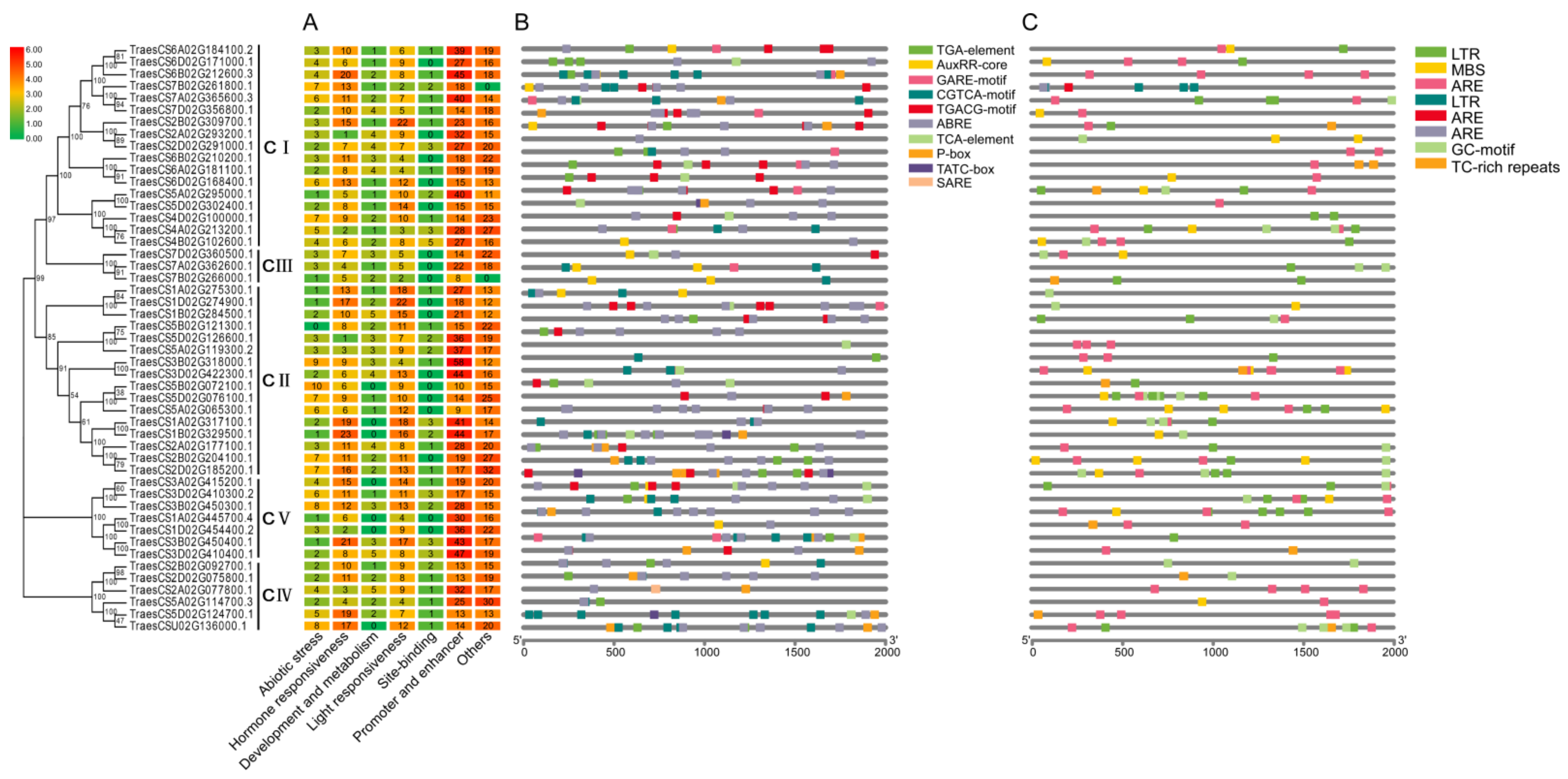 Plants 10 00019 g004