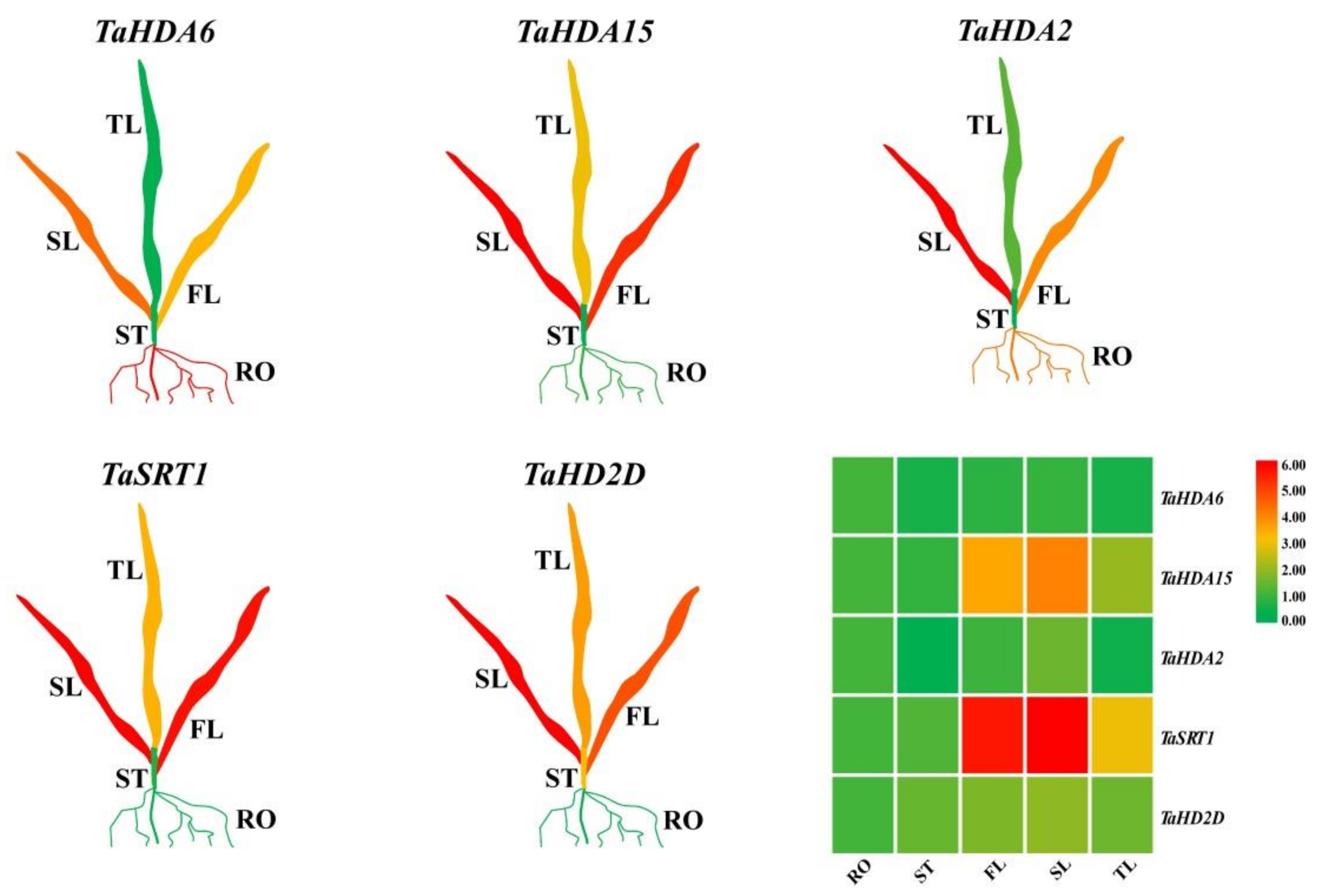 Plants 10 00019 g005