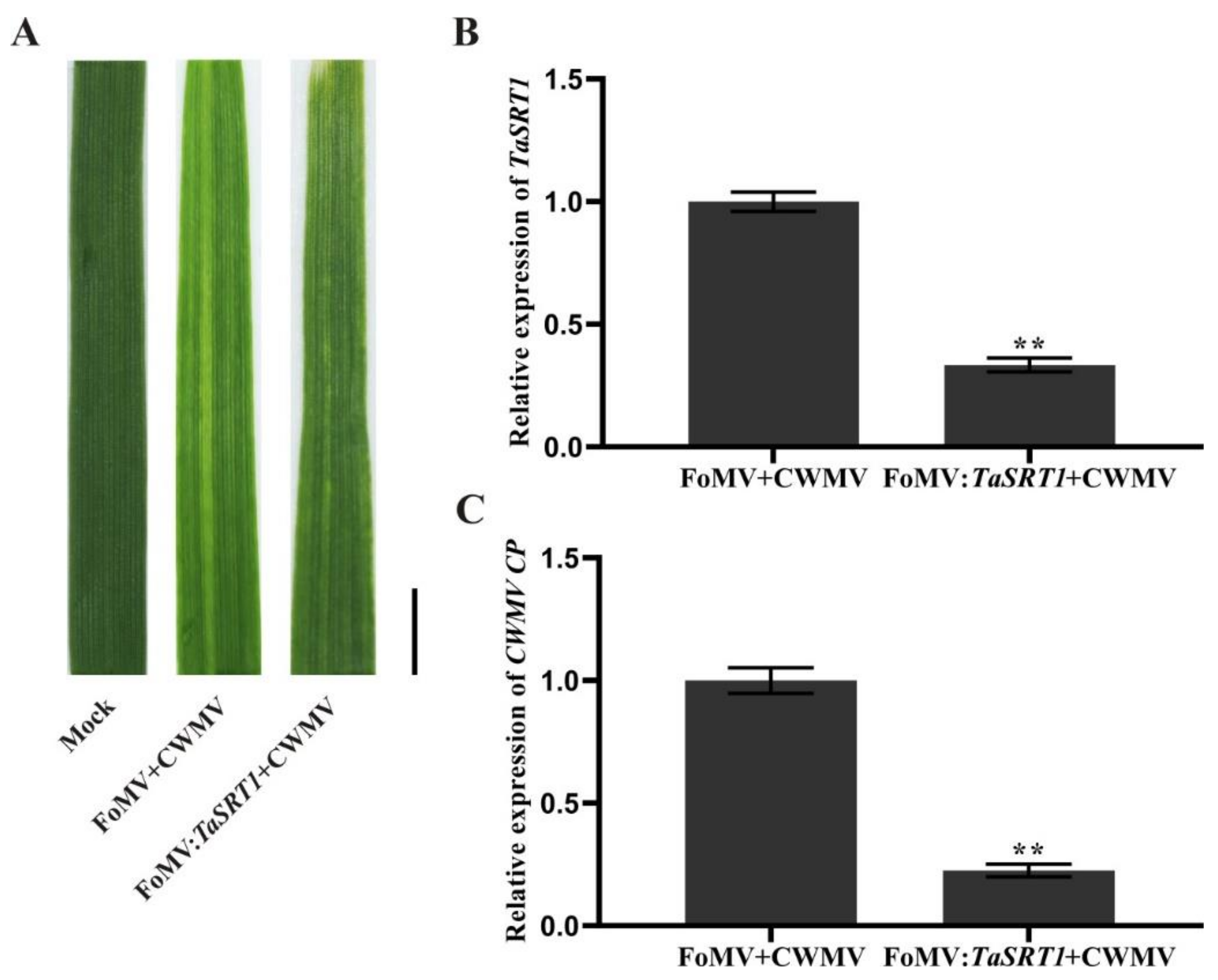 Plants 10 00019 g009