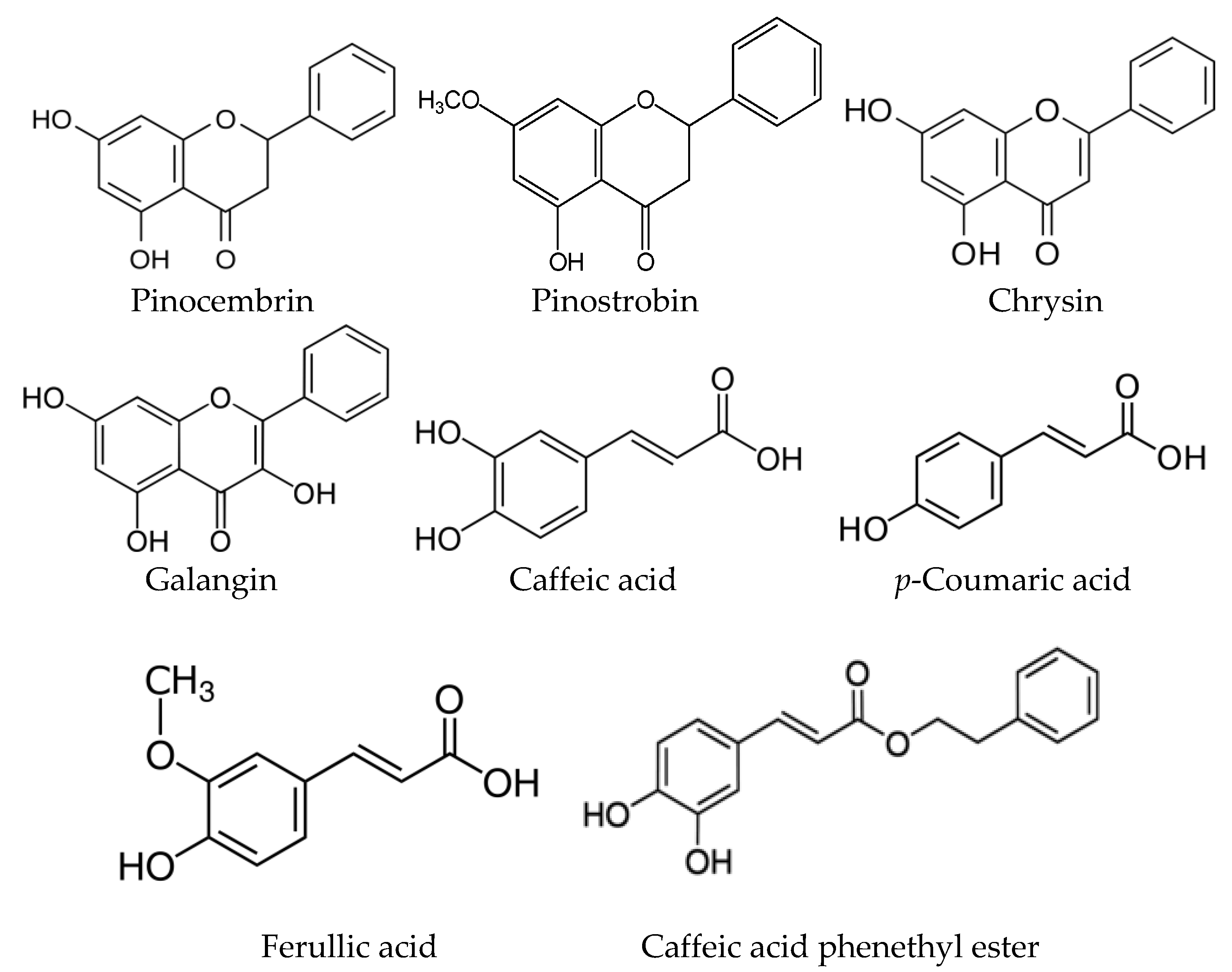 Plants Free Full-Text | Plant Sources Responsible for the Chemical and Main Properties of Poplar-Type Propolis | HTML