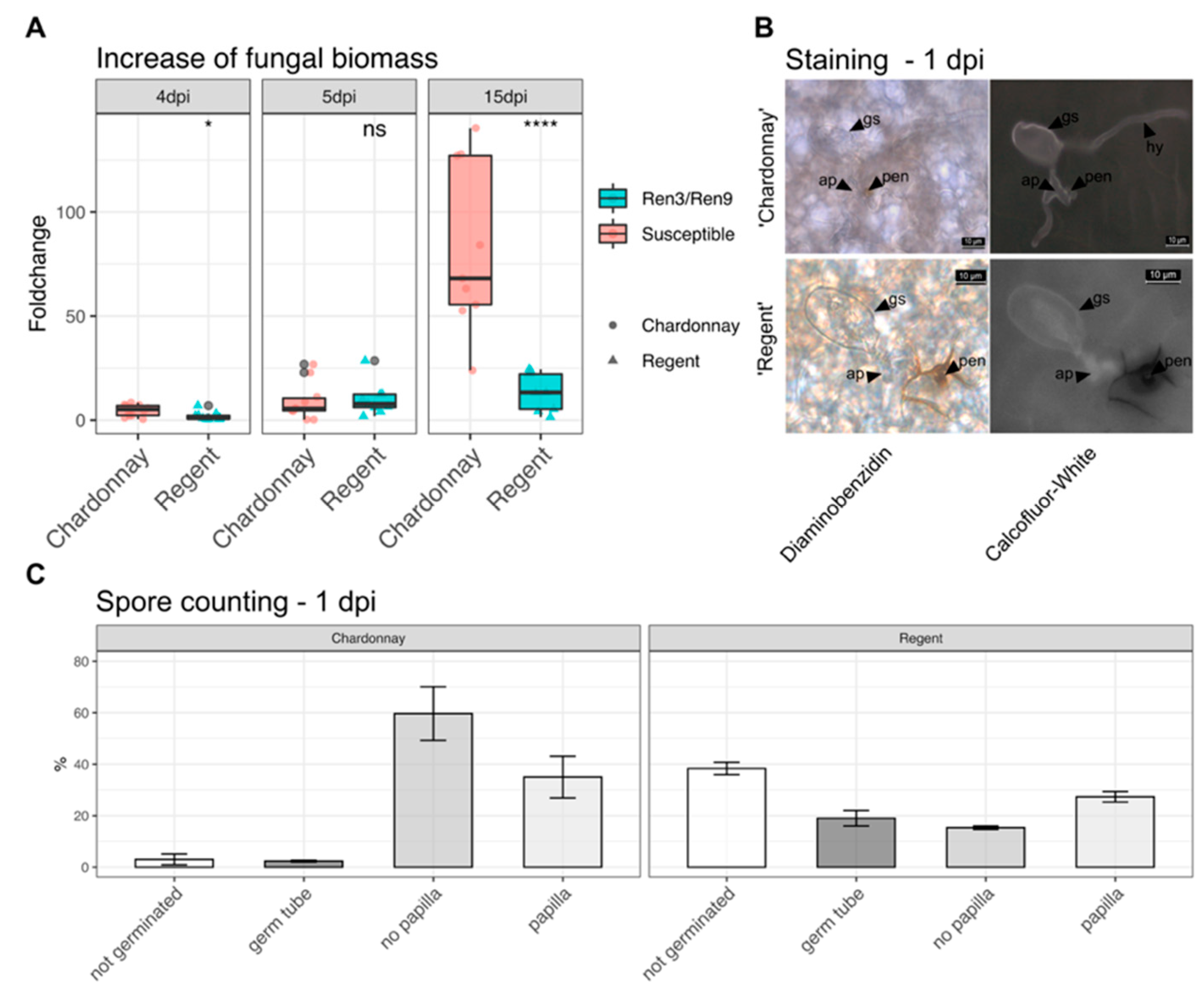 Plants 10 00024 g003 Plants 10 00024 g003