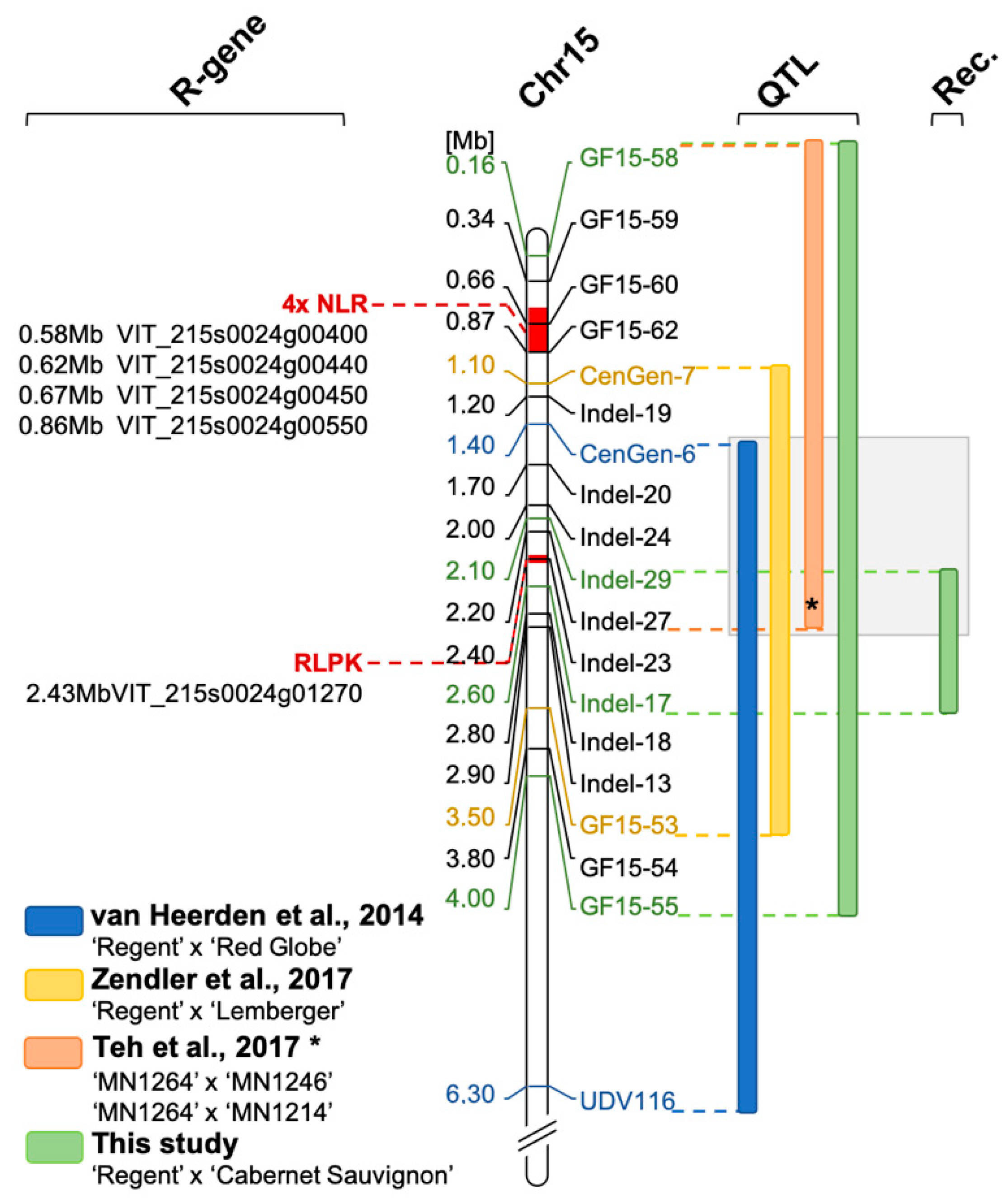 Plants 10 00024 g007 Plants 10 00024 g007