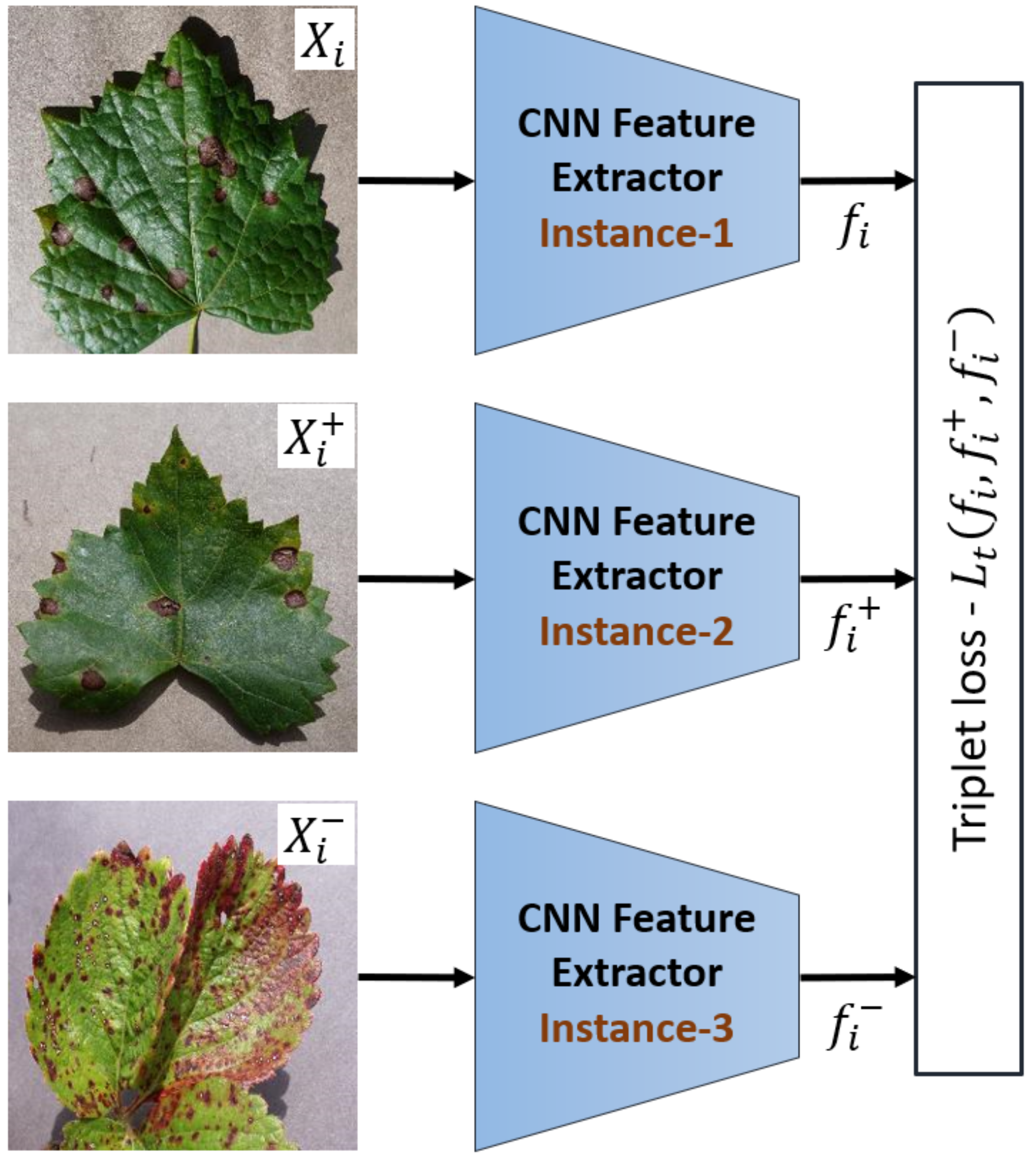 Plants 10 00028 g005
