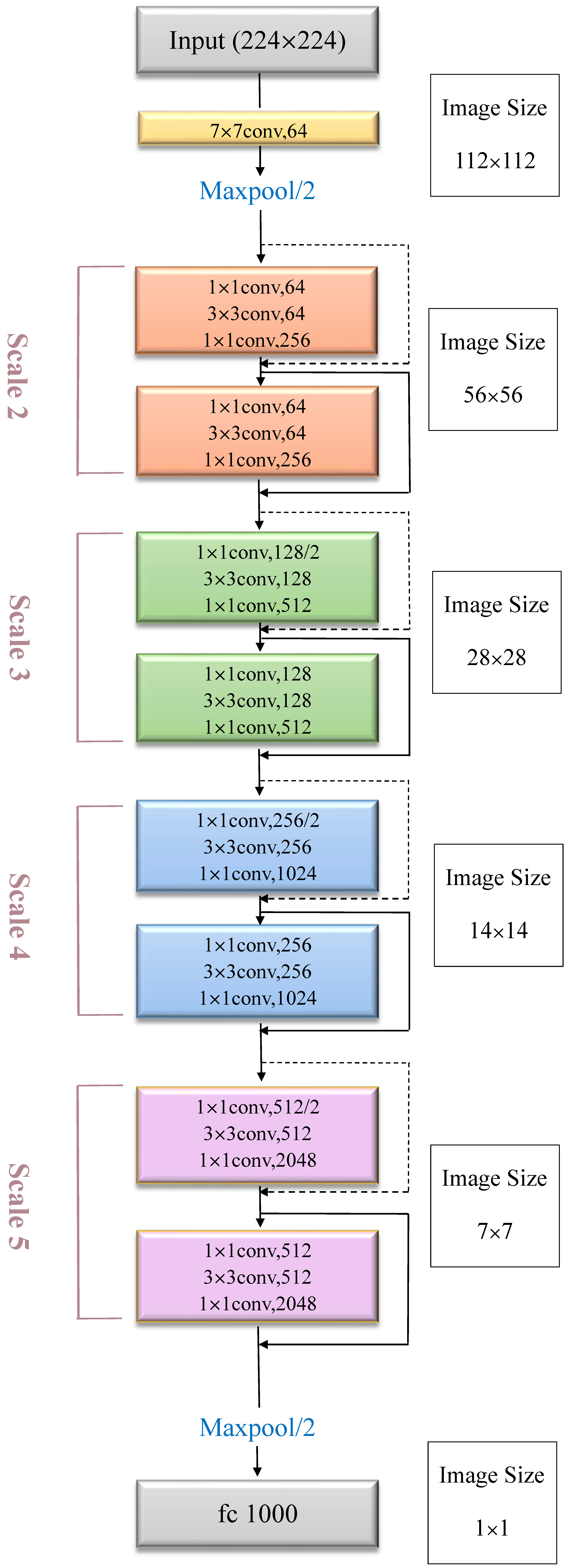 Plants 10 00031 g010 Plants 10 00031 g010
