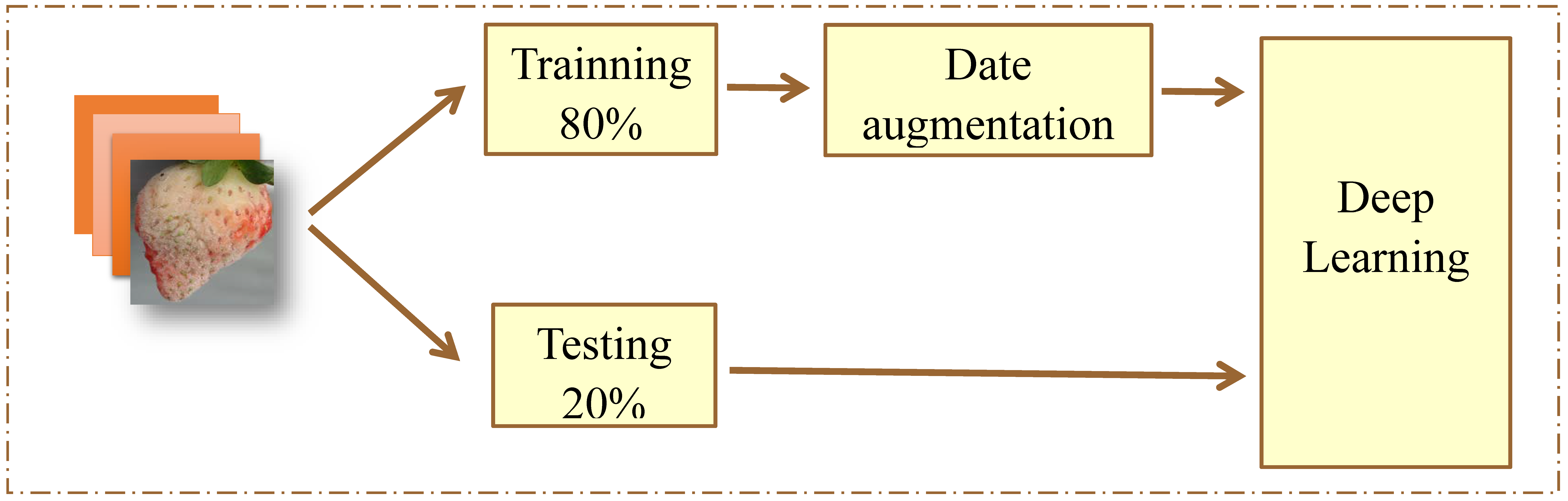 Plants 10 00031 g011 Plants 10 00031 g011