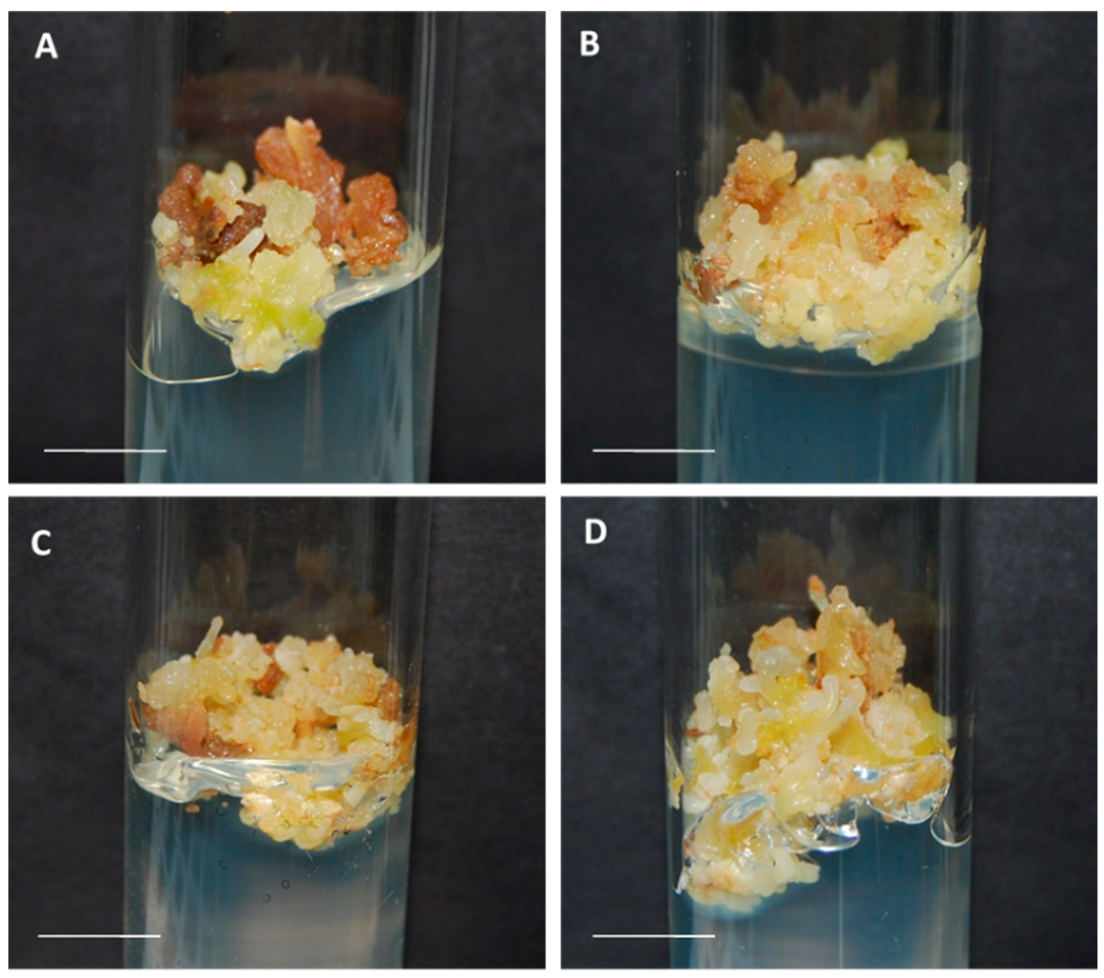 Plants 10 00034 g001 Plants 10 00034 g001