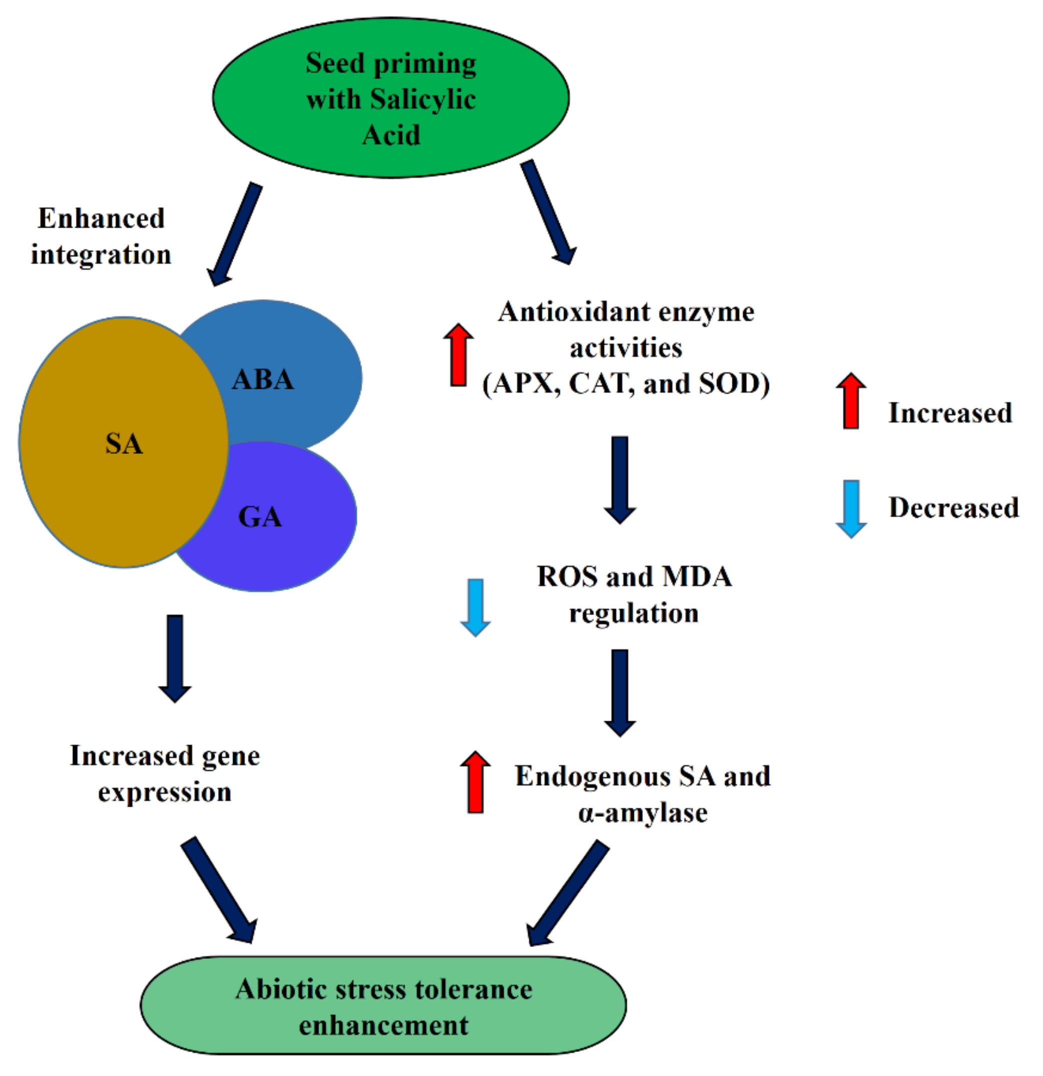 Plants 10 00037 g003