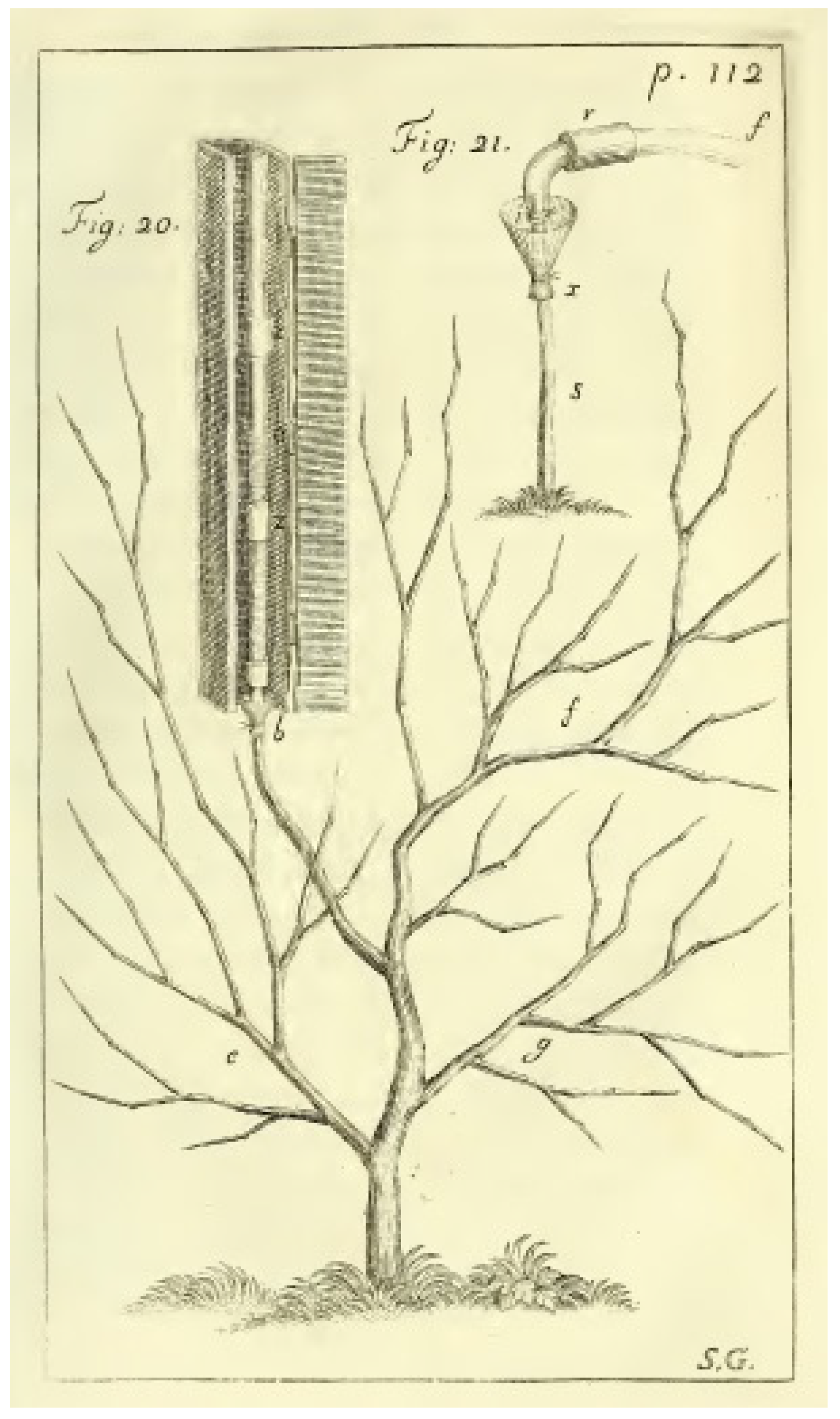 Plants 10 00038 g001 Plants 10 00038 g001