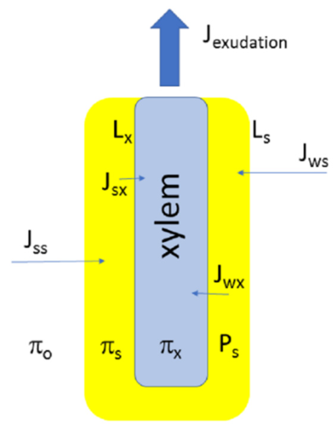 Plants 10 00038 g002 Plants 10 00038 g002