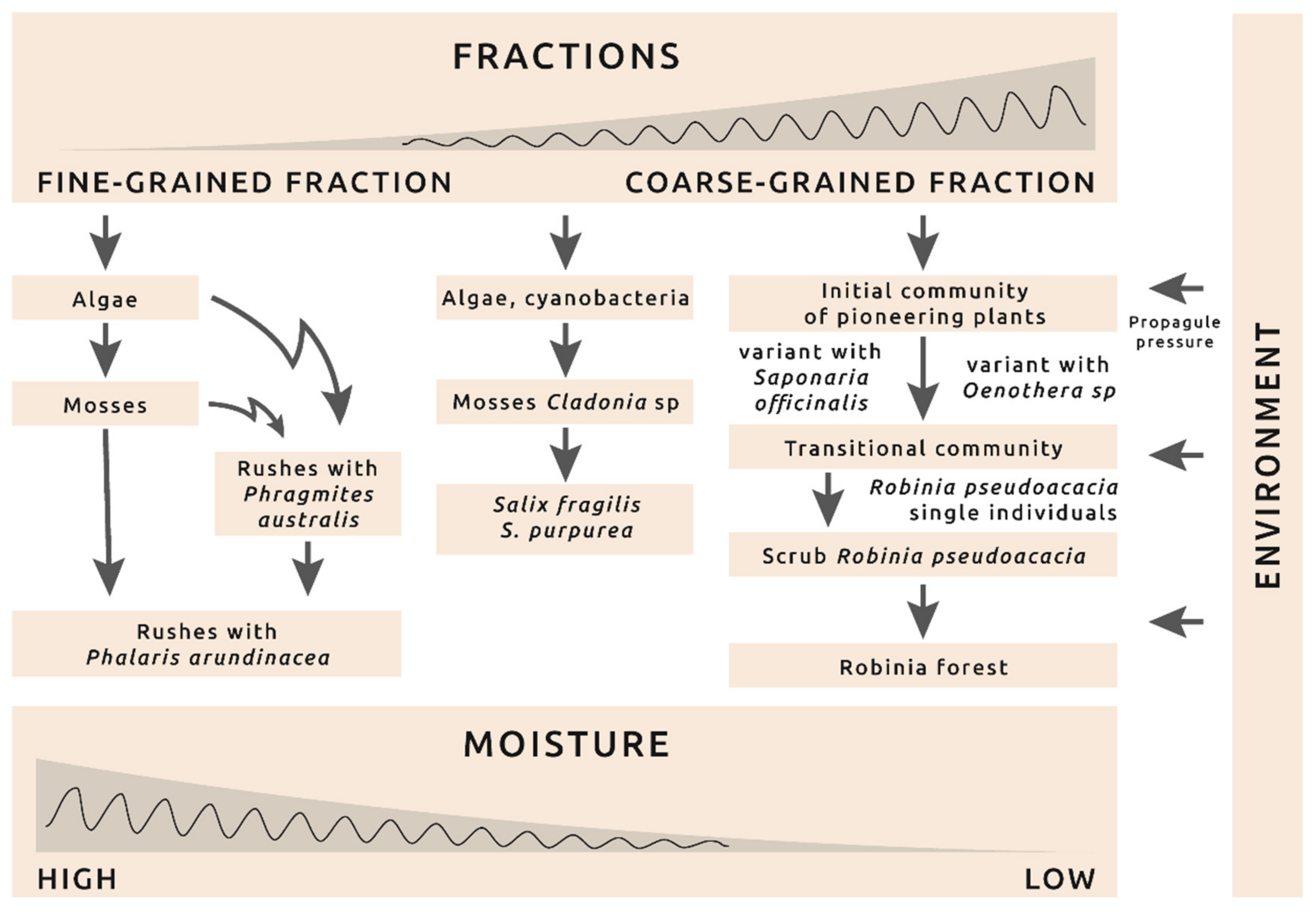 Plants 10 00040 g004