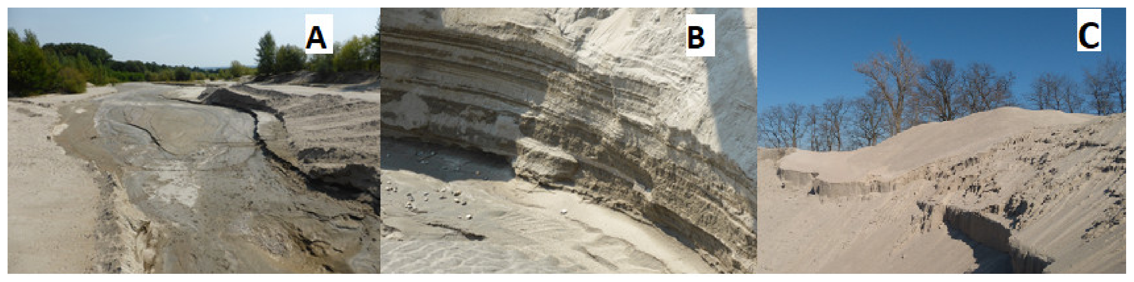 Plants 10 00040 g0a1